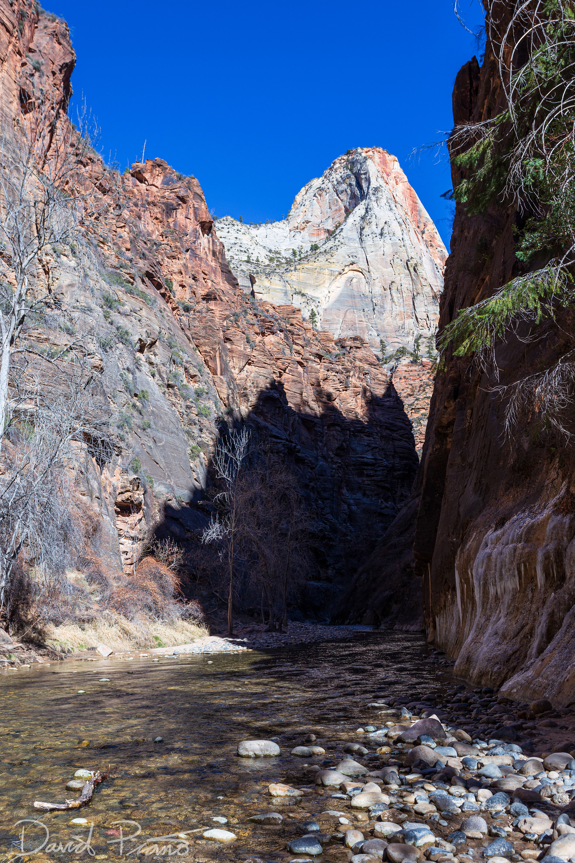 Virgin River in Zion Canyon - Feb. 2020