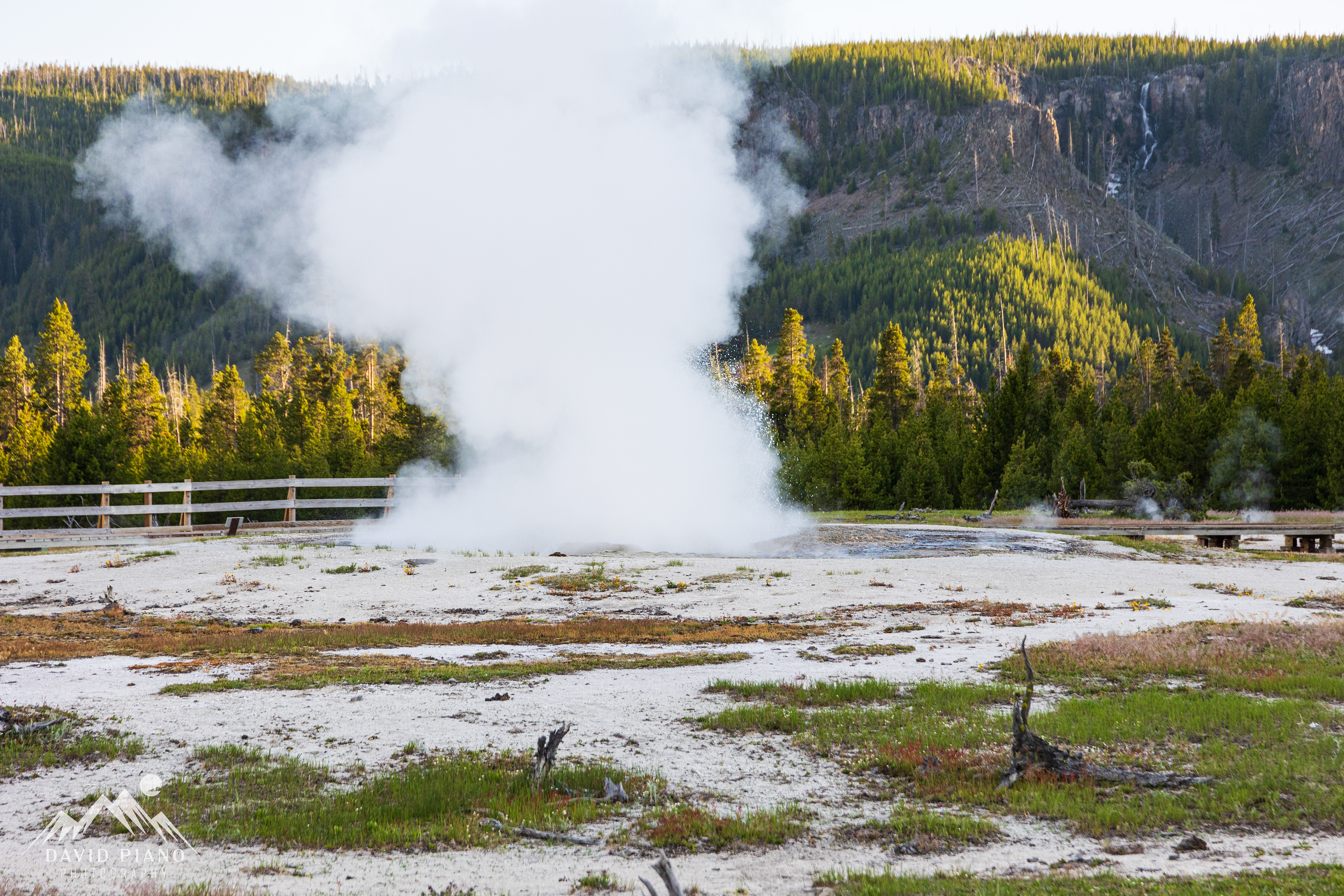 Jewel Geyser