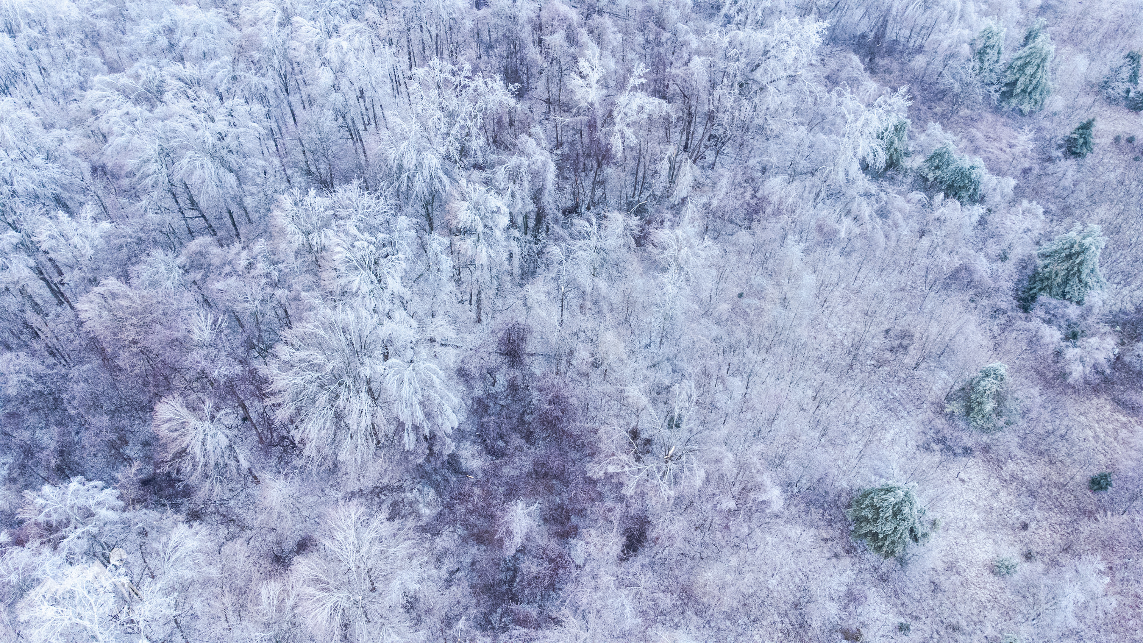 Drone views of an ice storm in Norfolk County, ON on Feb 23, 2023