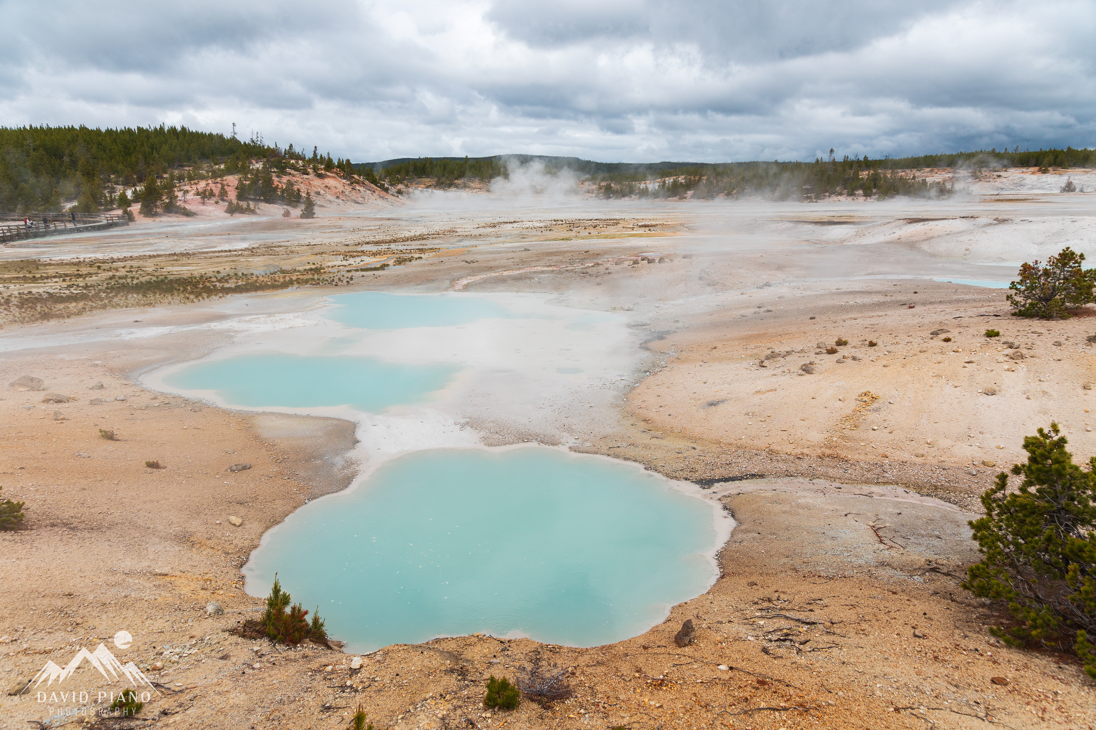 Colloidal Pool