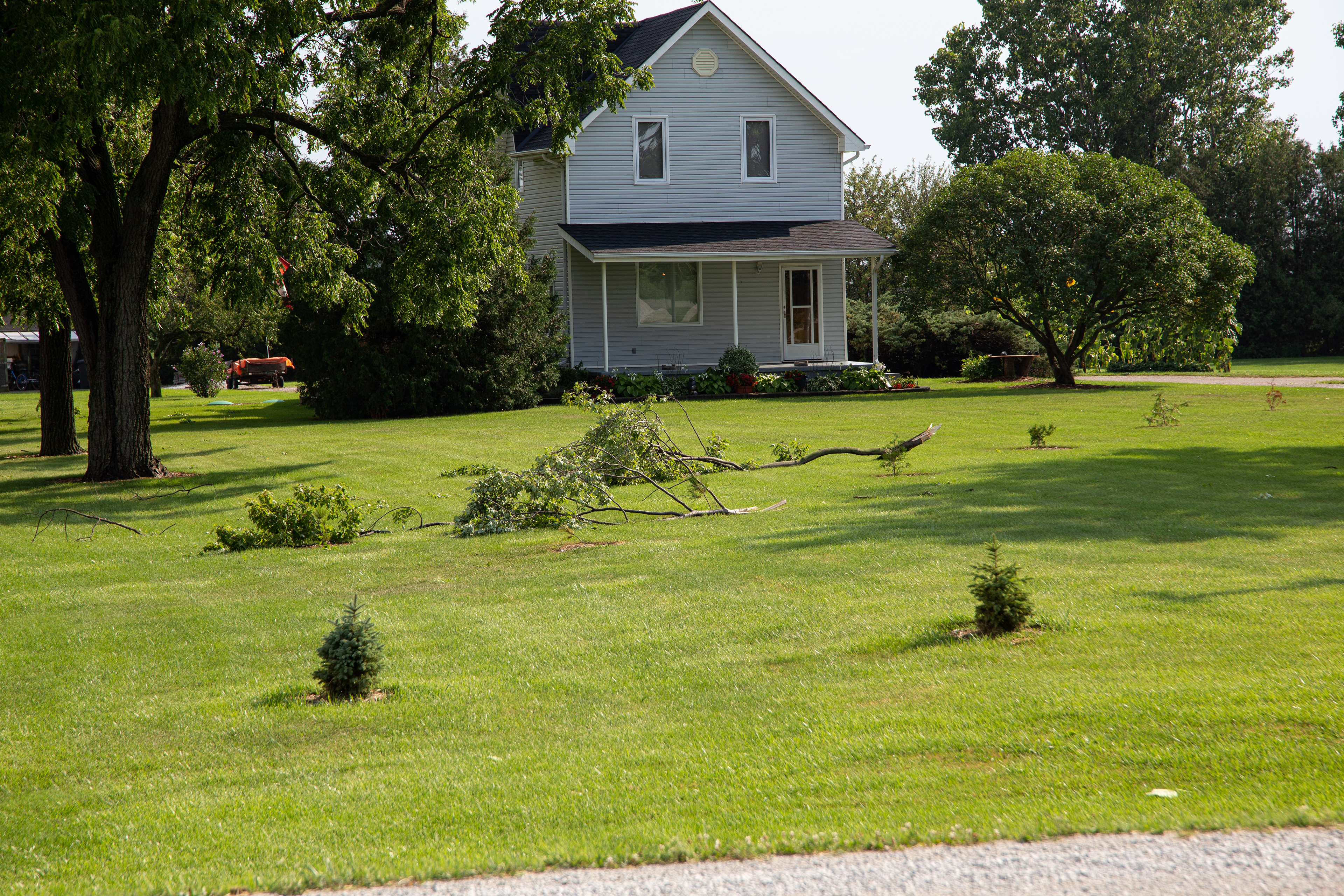 Downburst damage near Wyoming in Lambton County - Aug. 24