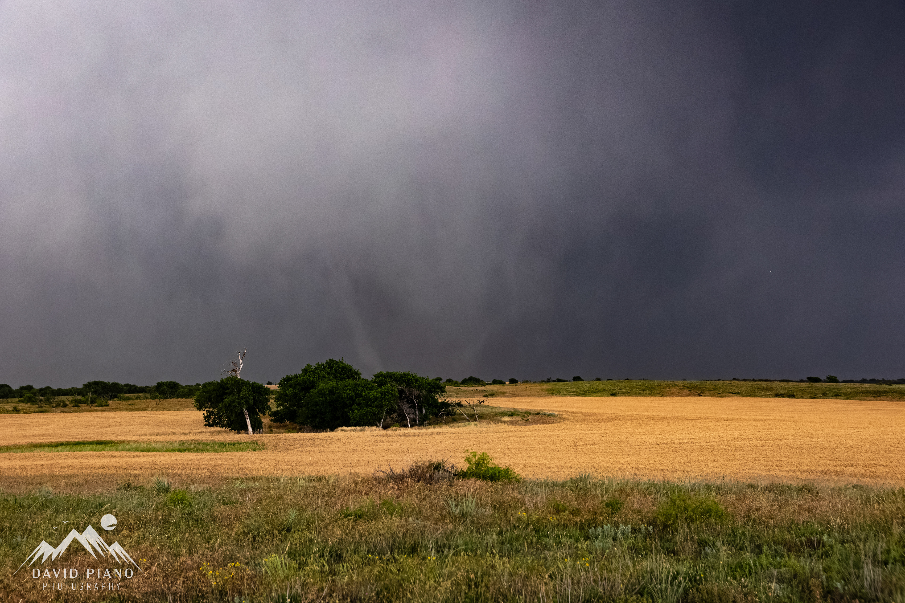 Multiple vortices dance around the parent circulation