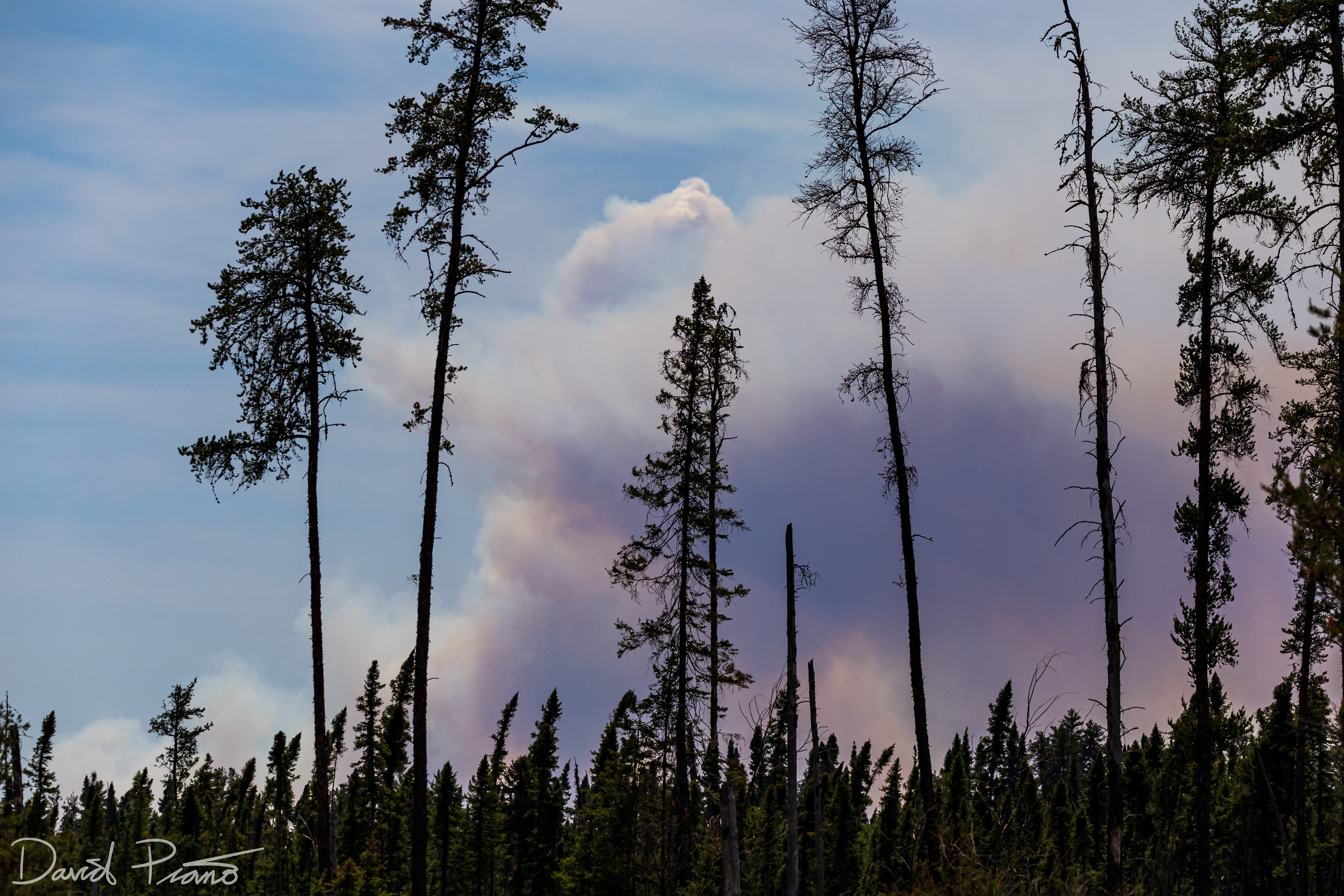 Forest fire burning near Upsala in NW Ontario - June 2021