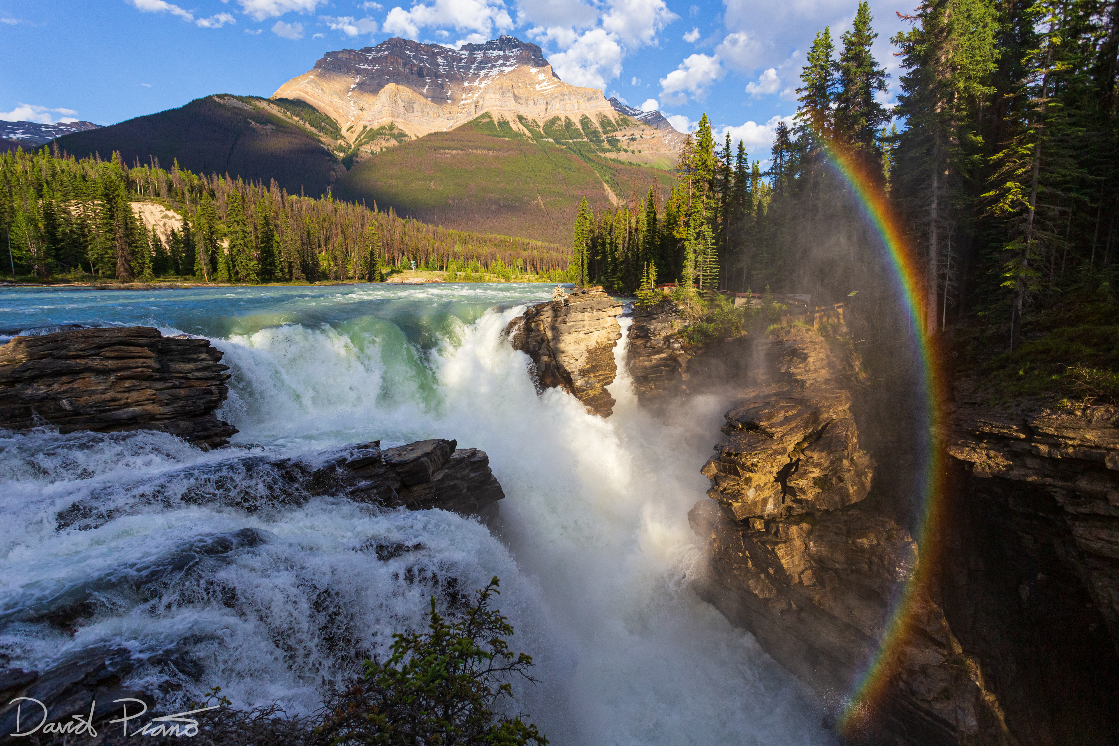 Athabasca Falls