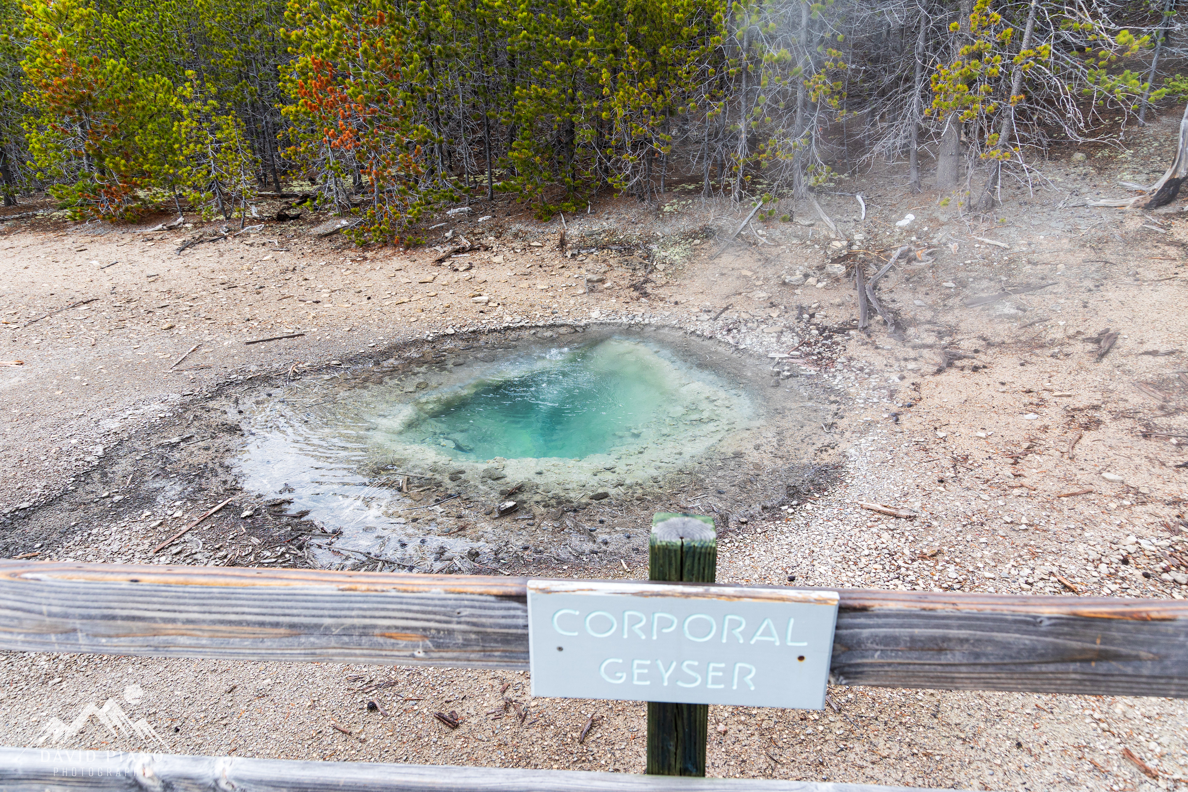 Corporal Geyser