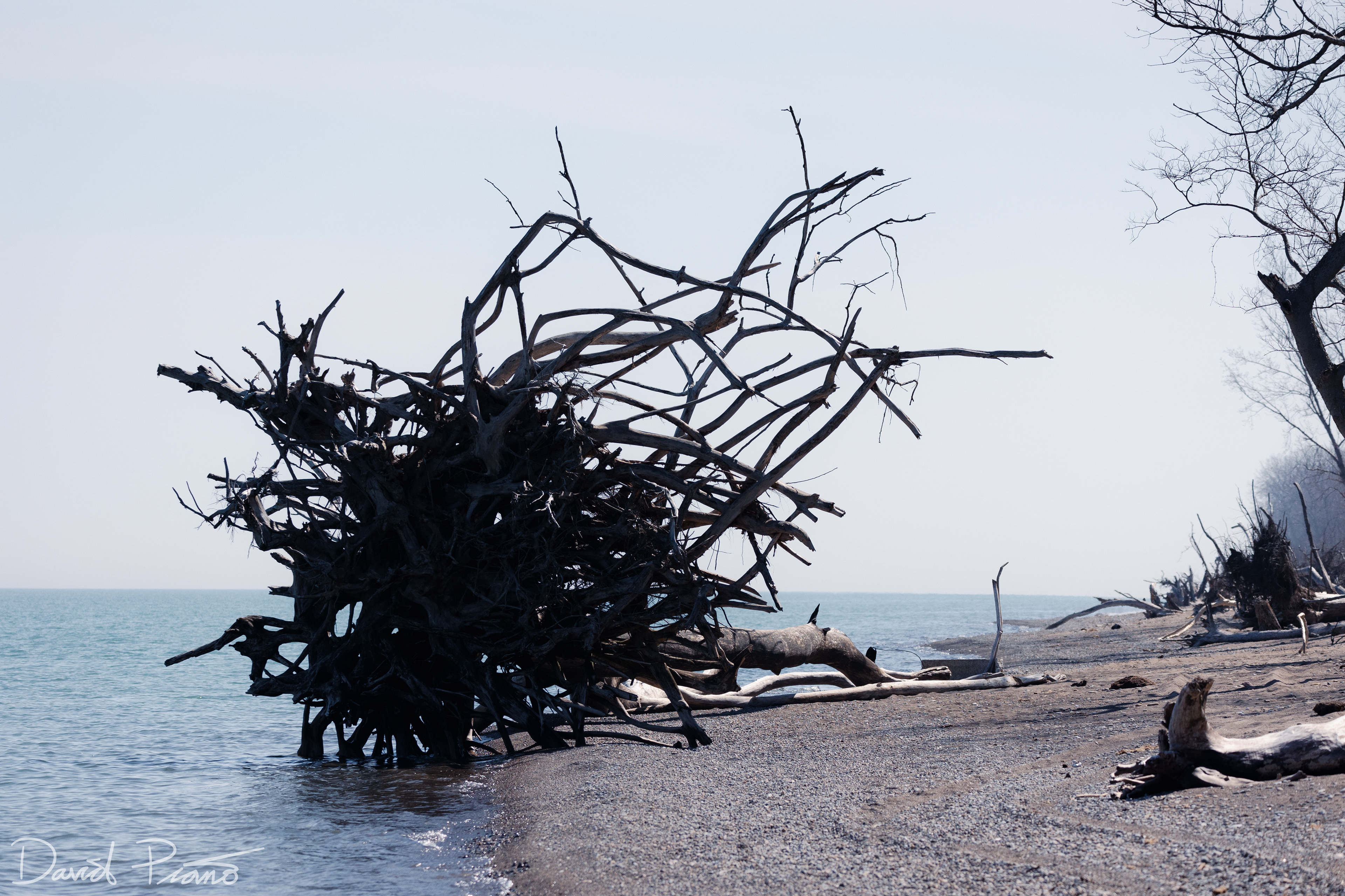 East Beach