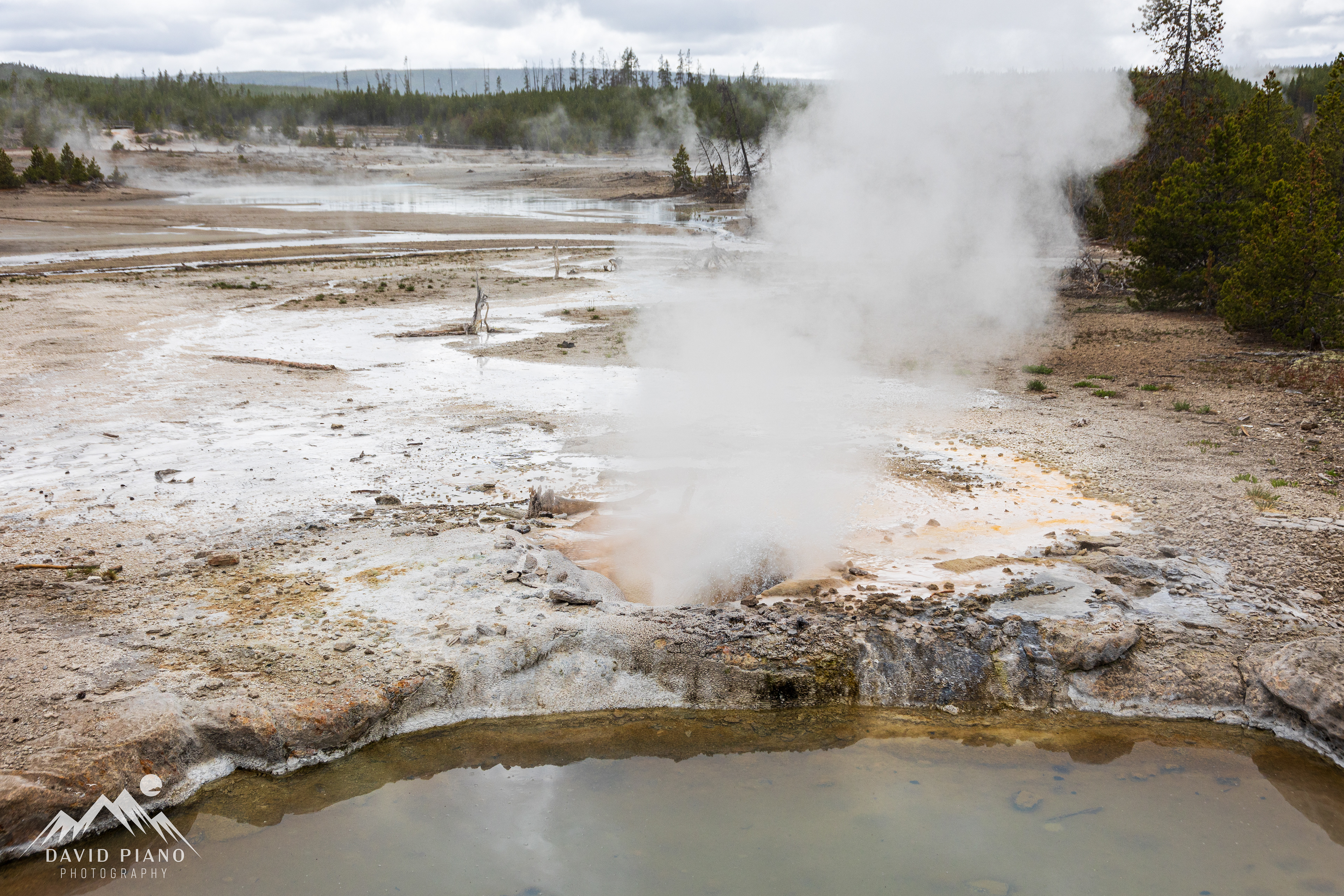 Veteran Geyser