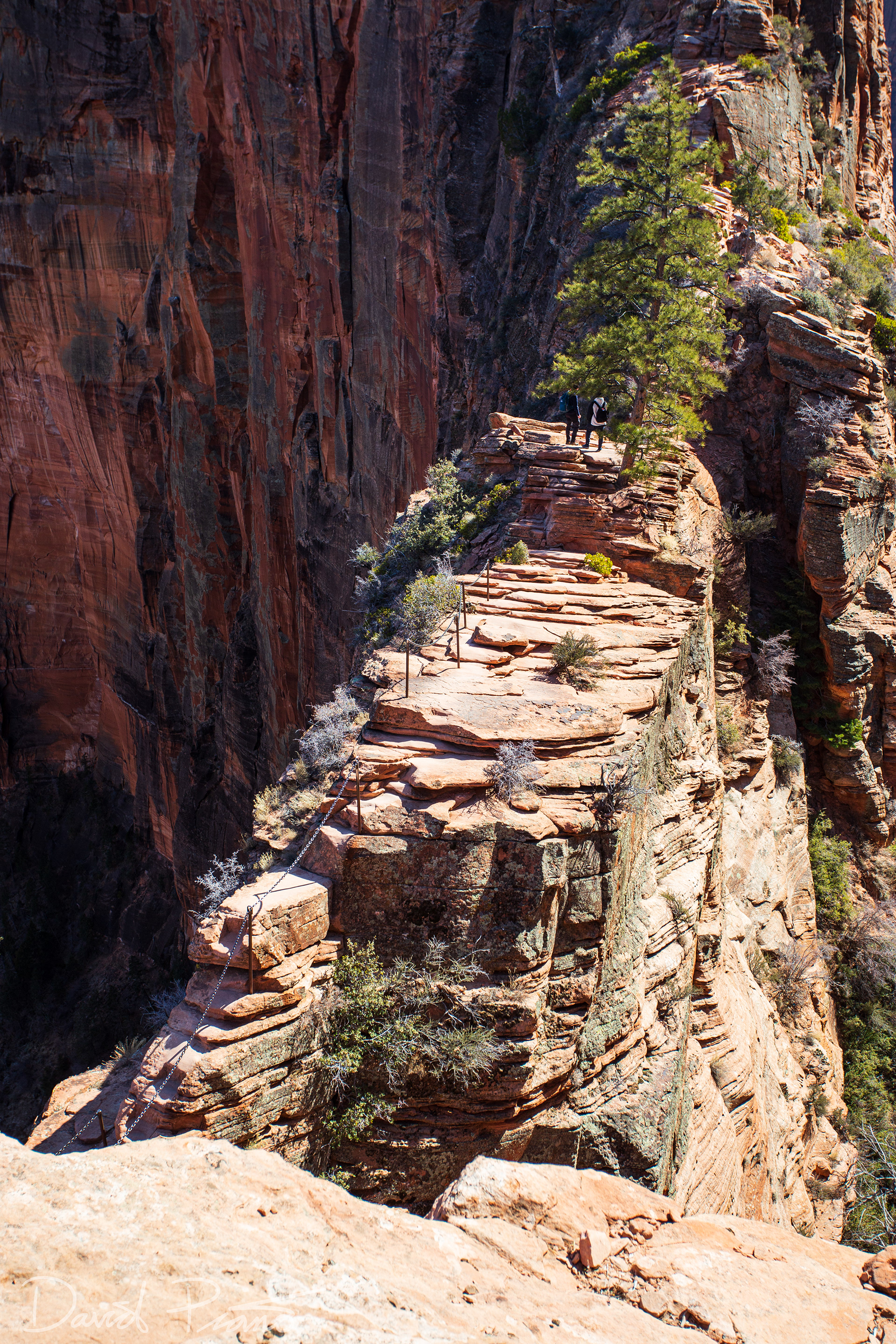 Angel's Landing Trail - Feb. 2020