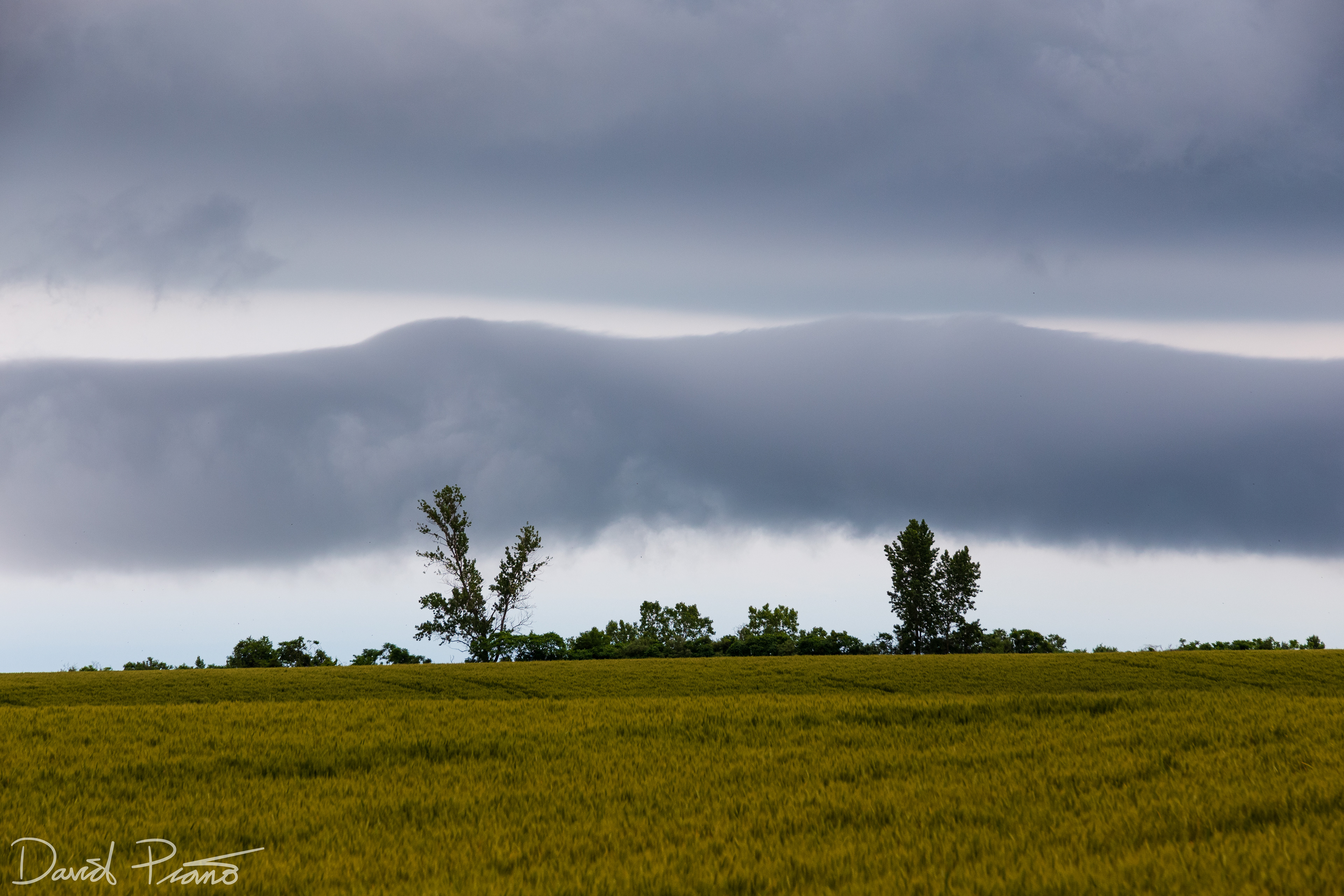 This roll cloud formed over Lake Erie as cold t-storm outflow surged over the water