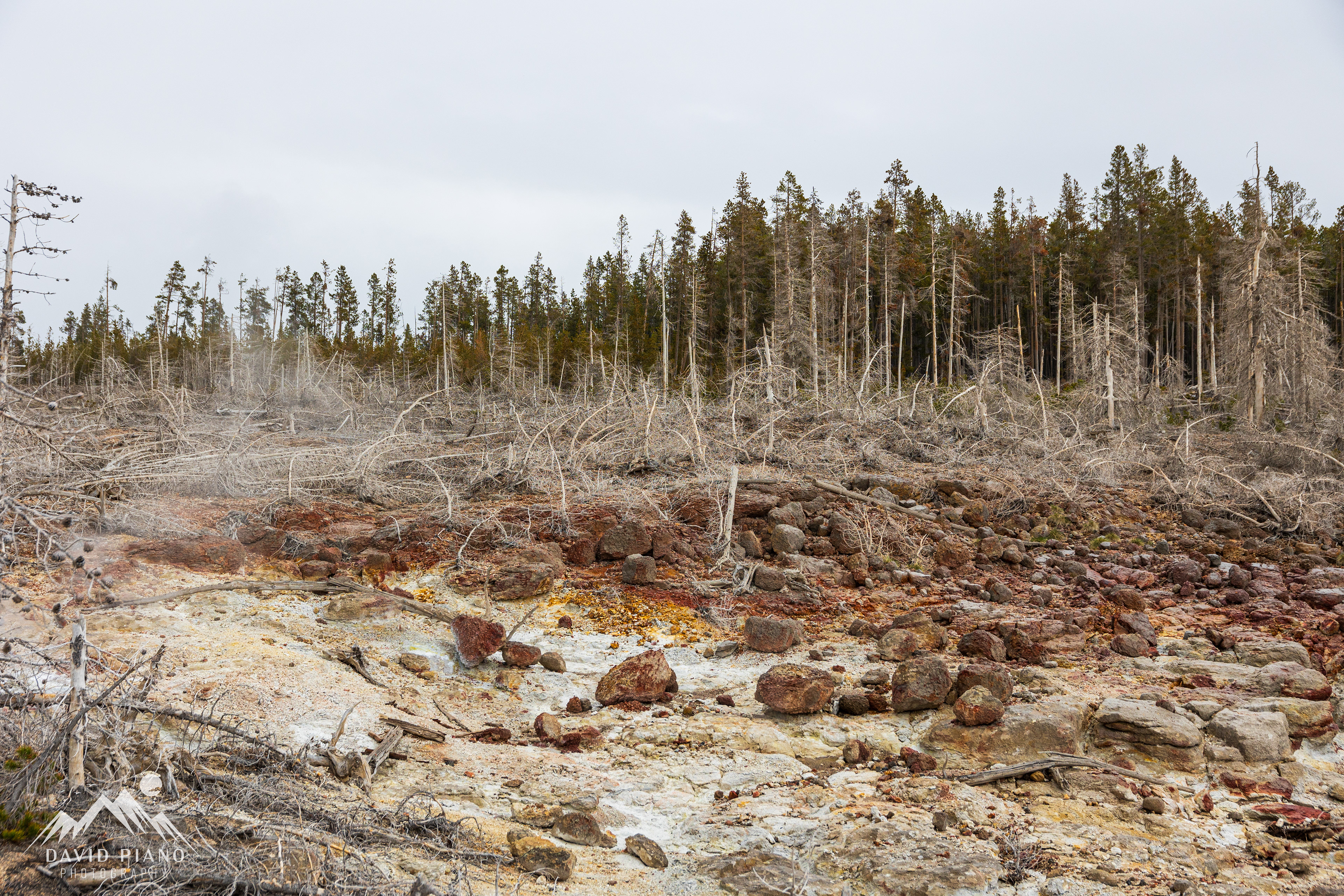 Steamboat Geyser