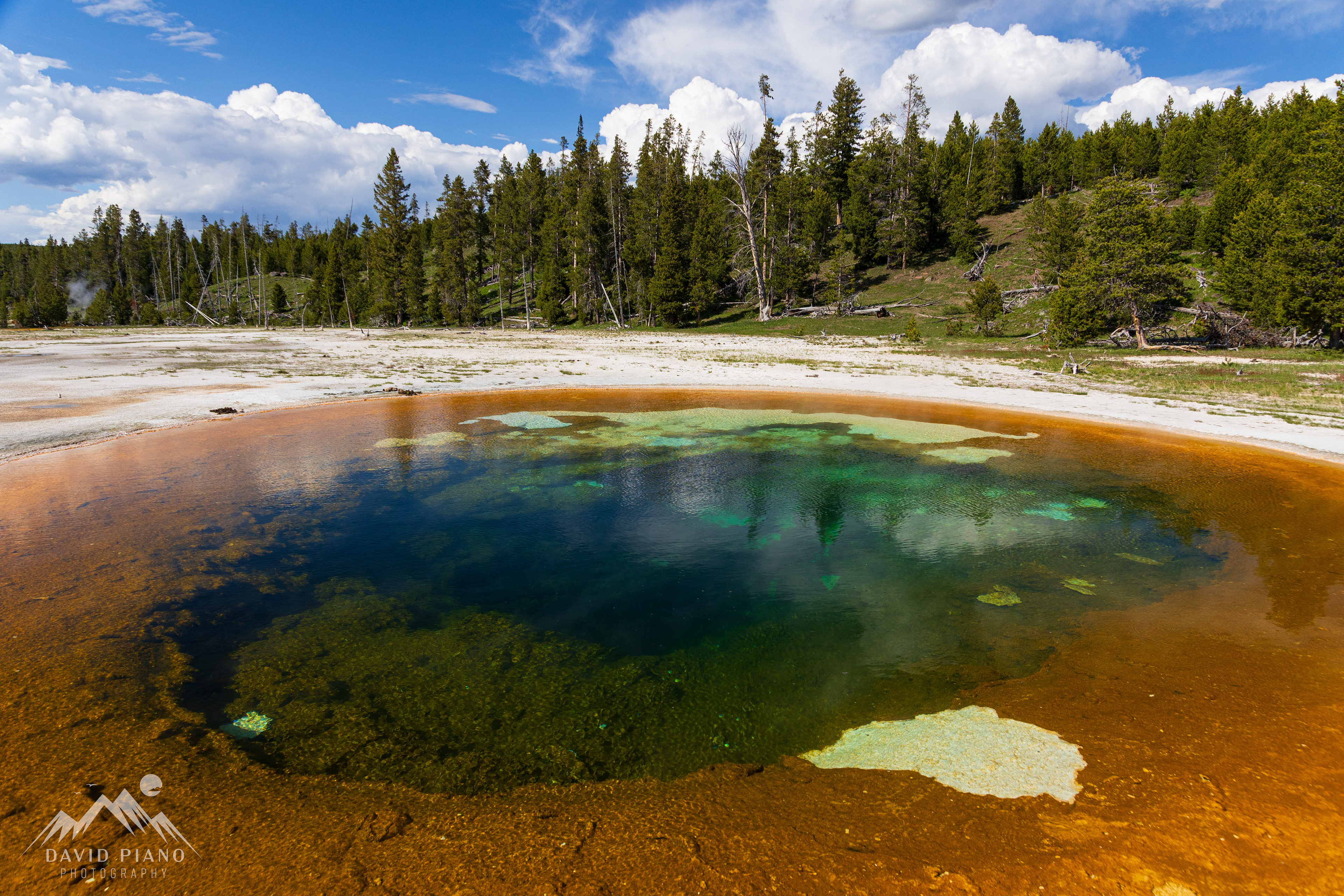 Beauty Pool