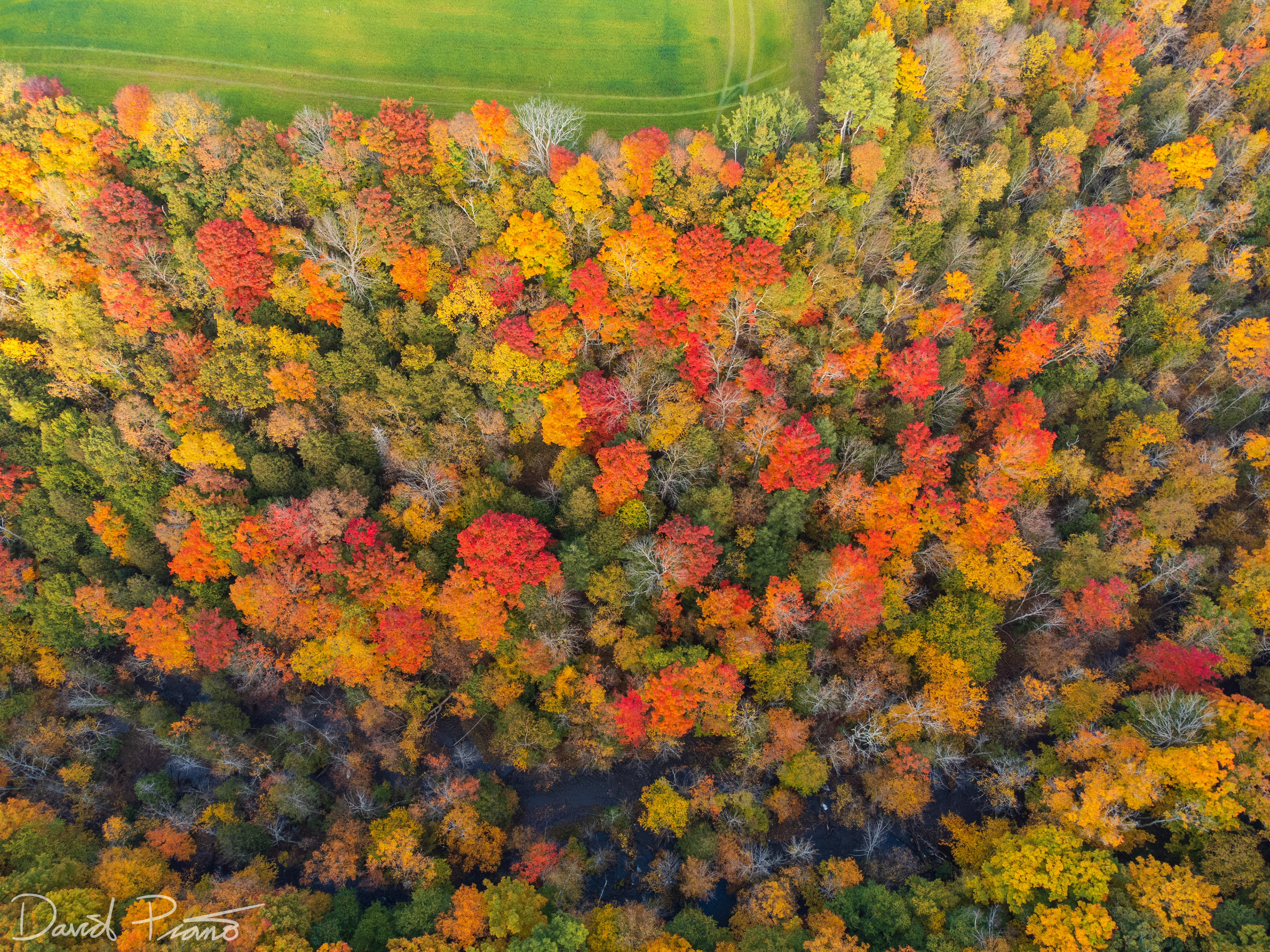 Fall colours in the Kolapore Uplands - October 2021