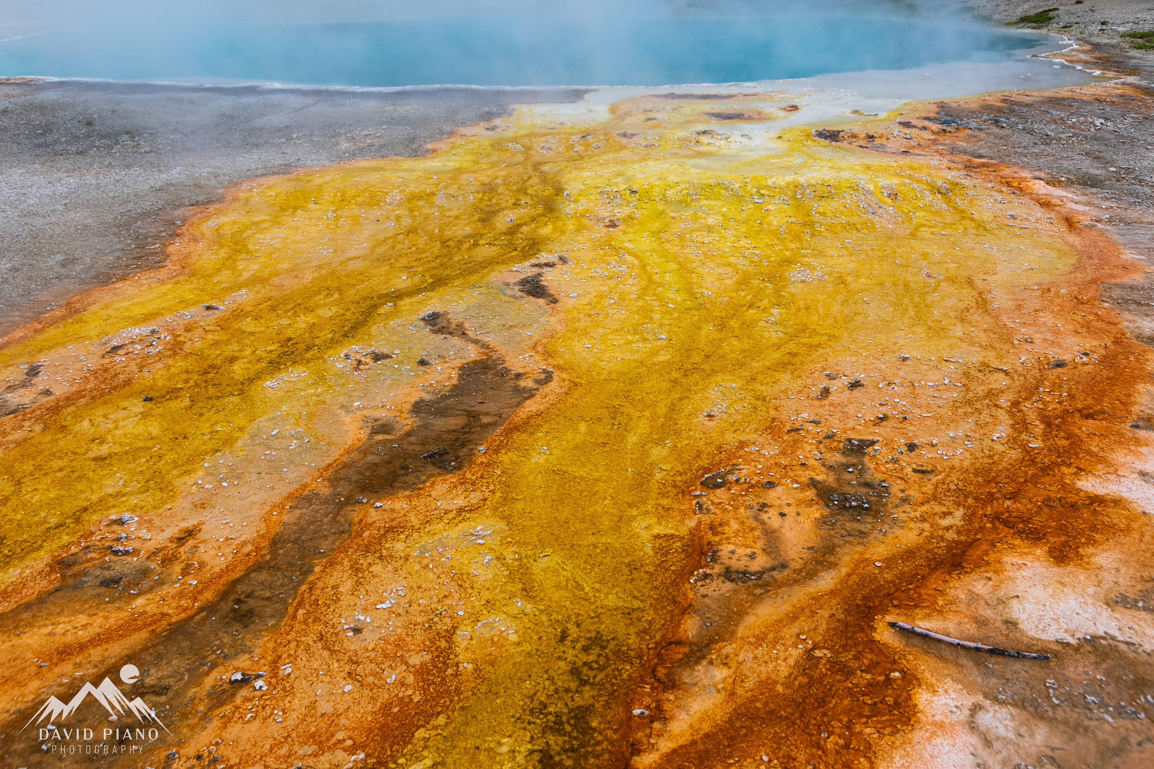 Vibrant thermophiles at Black Pool