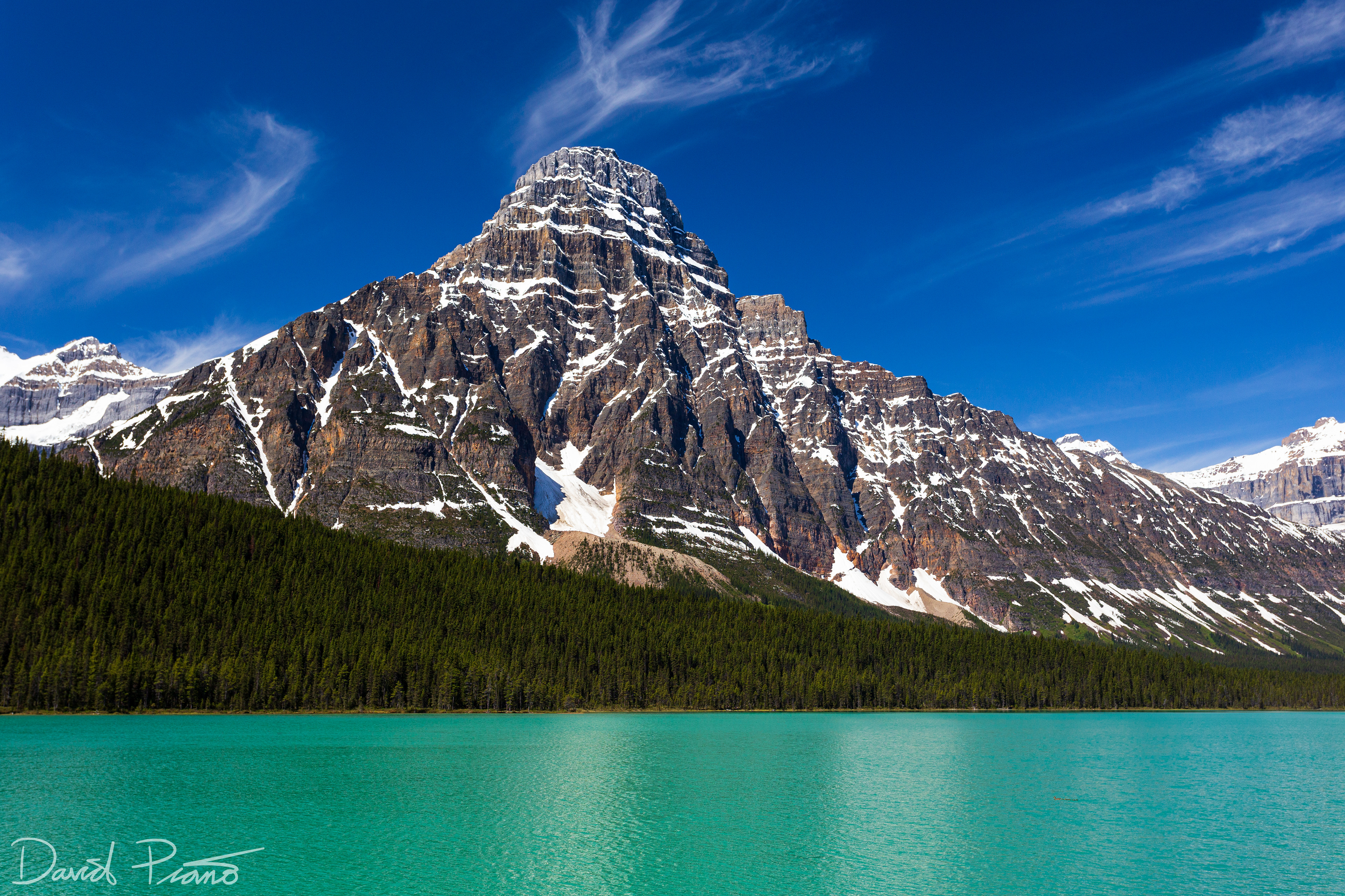 Waterfowl Lake