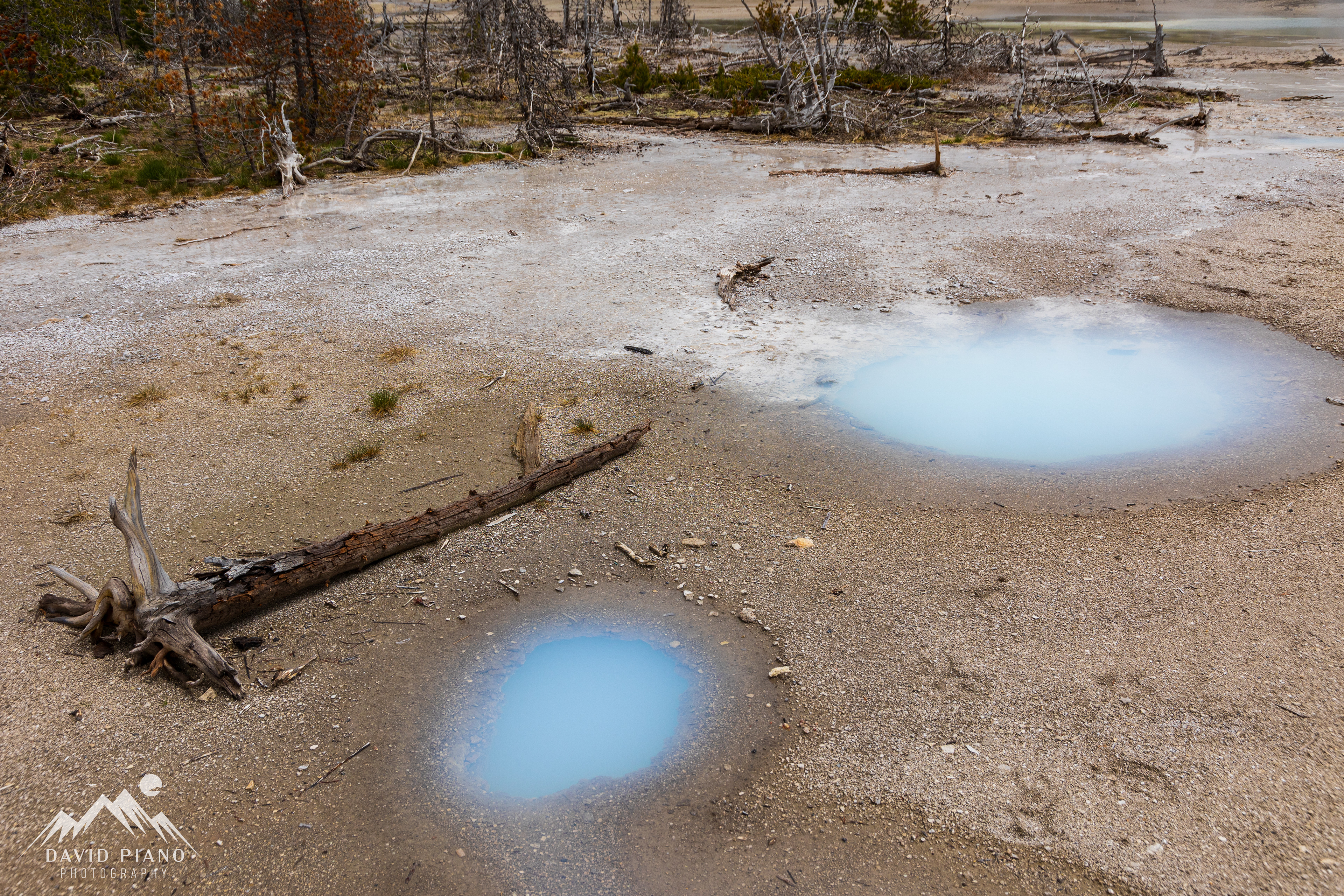 Silica-rich Springs