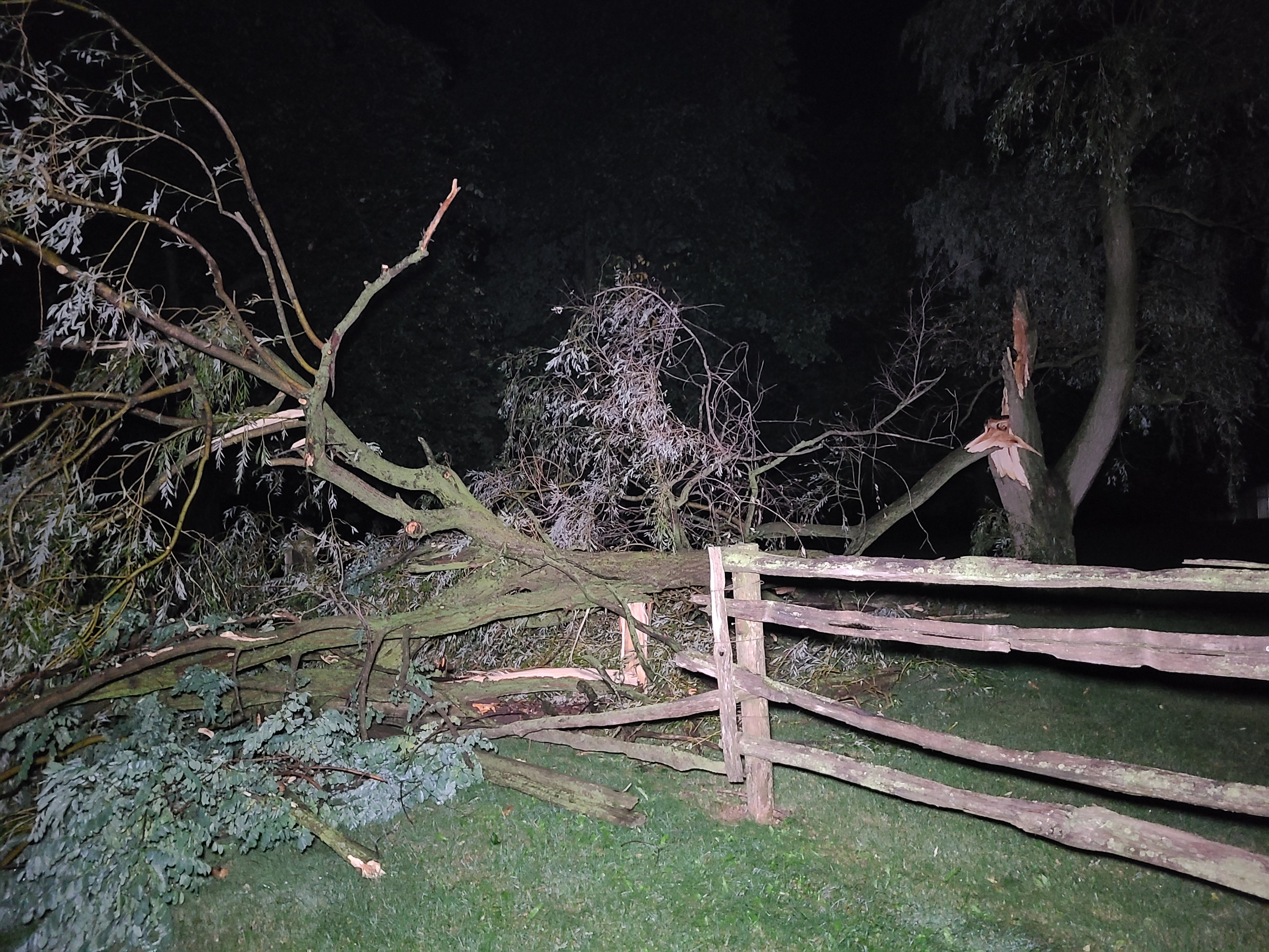 Downburst damage north of Ingersoll early on Aug. 25