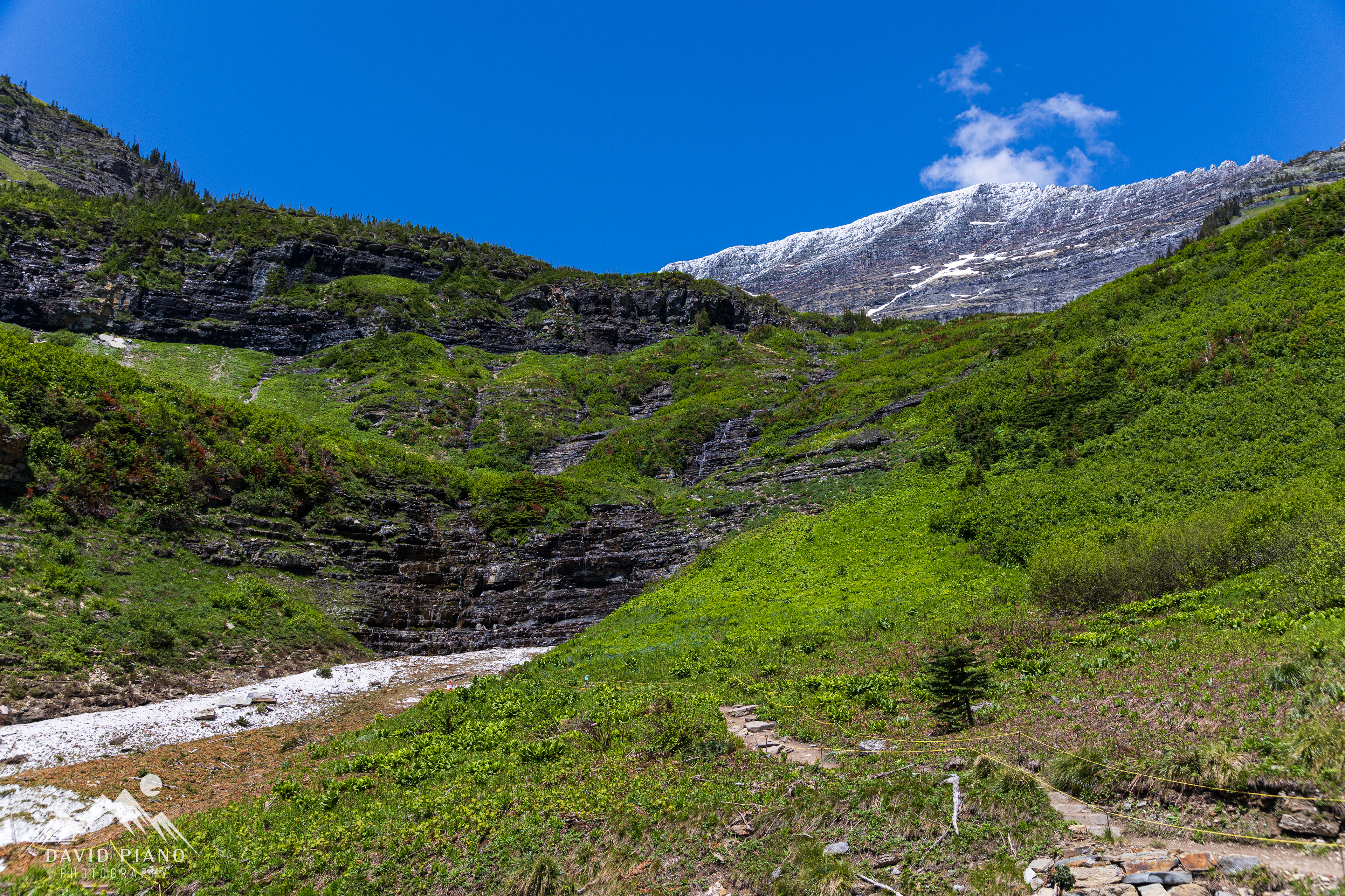 Going-to-the-sun Road