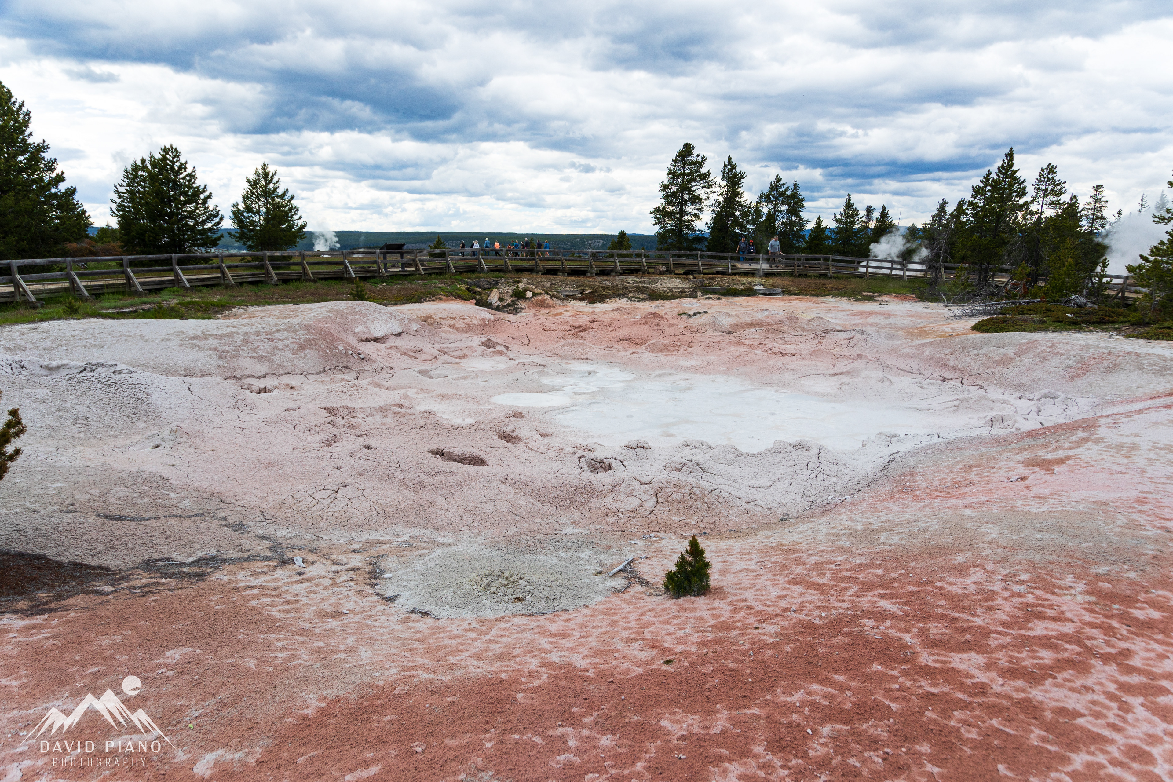 Fountain Paint Pot