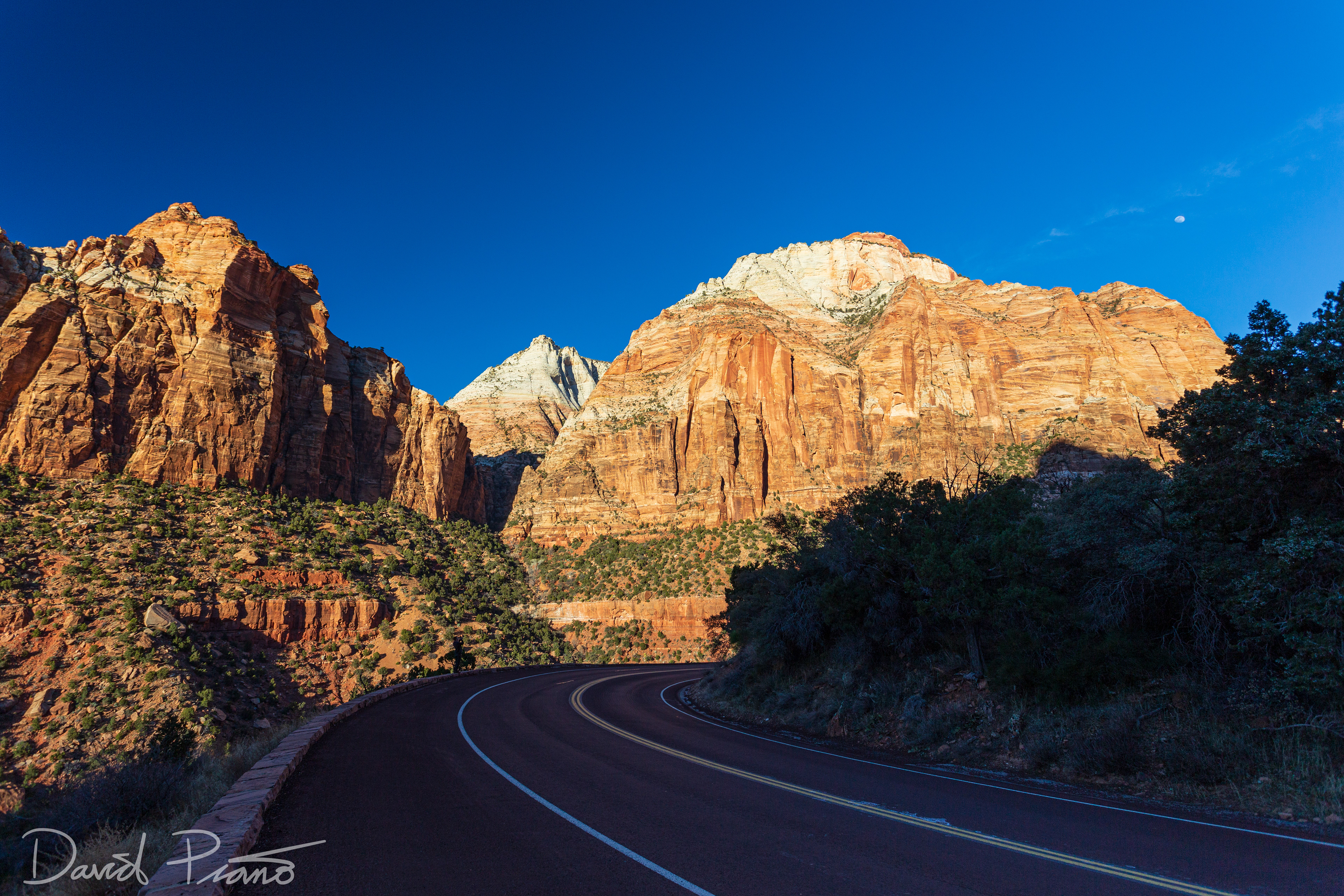 Zion Canyon Scenic Drive - Feb. 2020