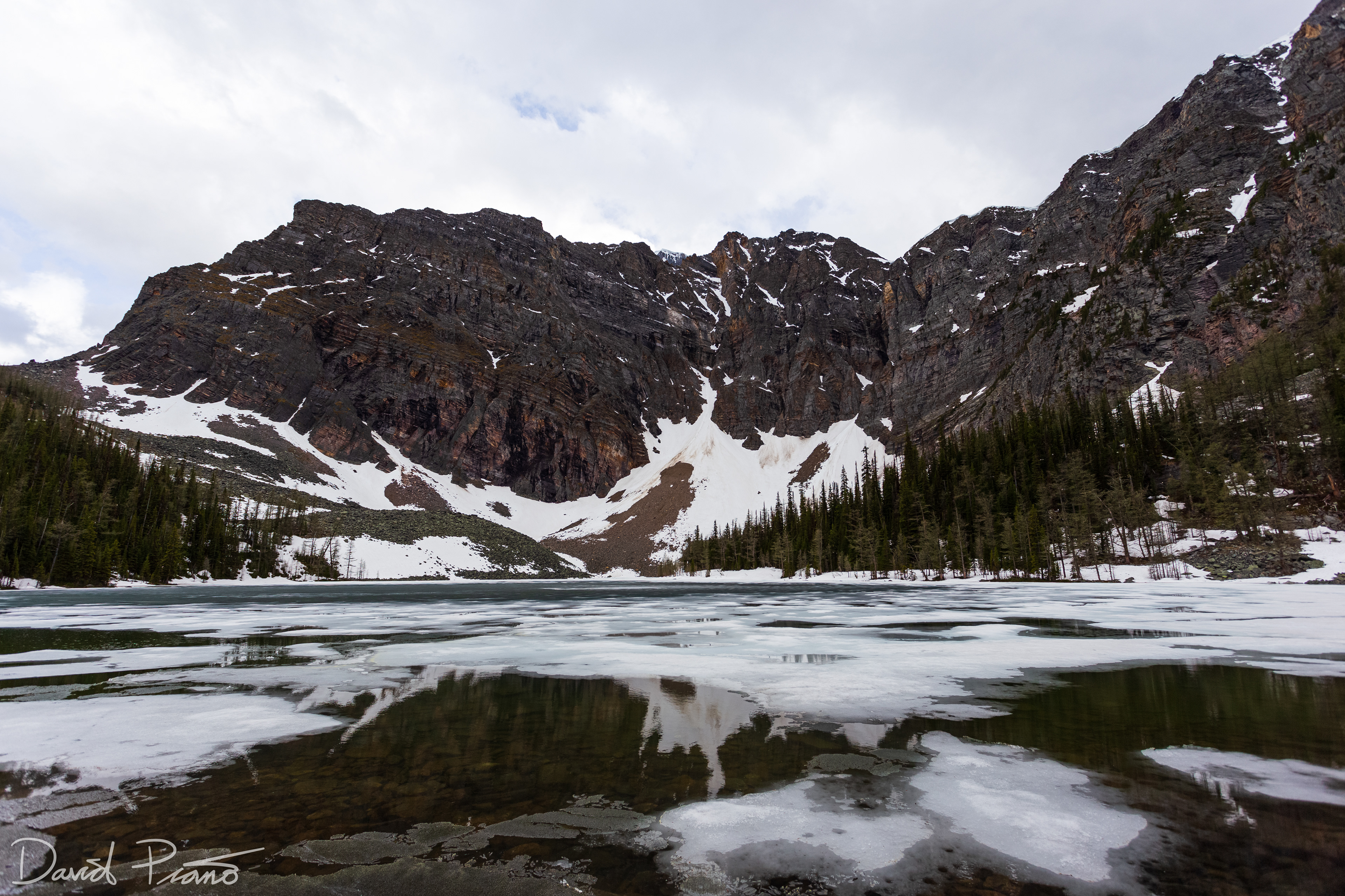 Arnica Lake, Banff National Park - June 2021