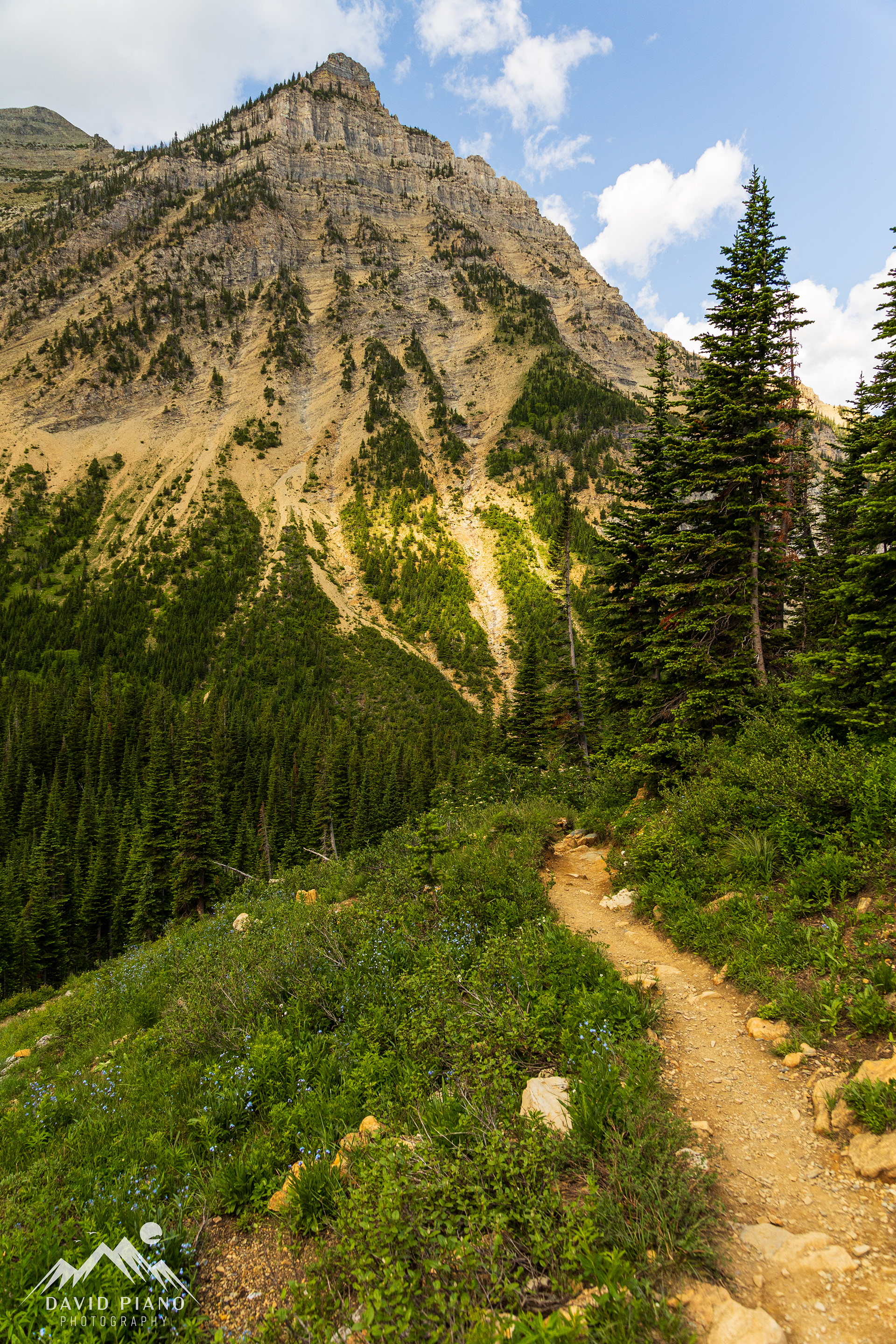 Crypt Lake Trail