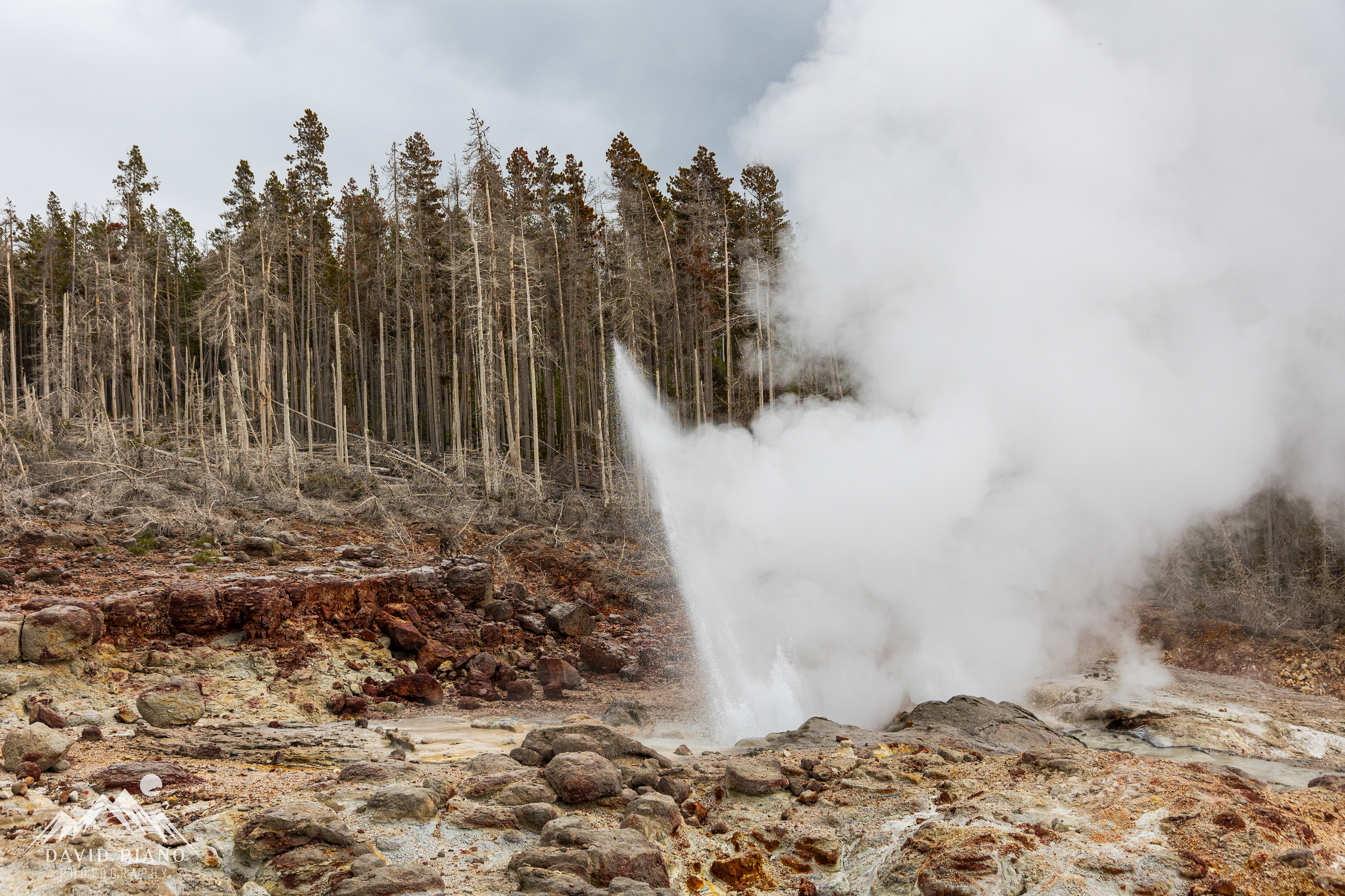 Steamboat Geyser