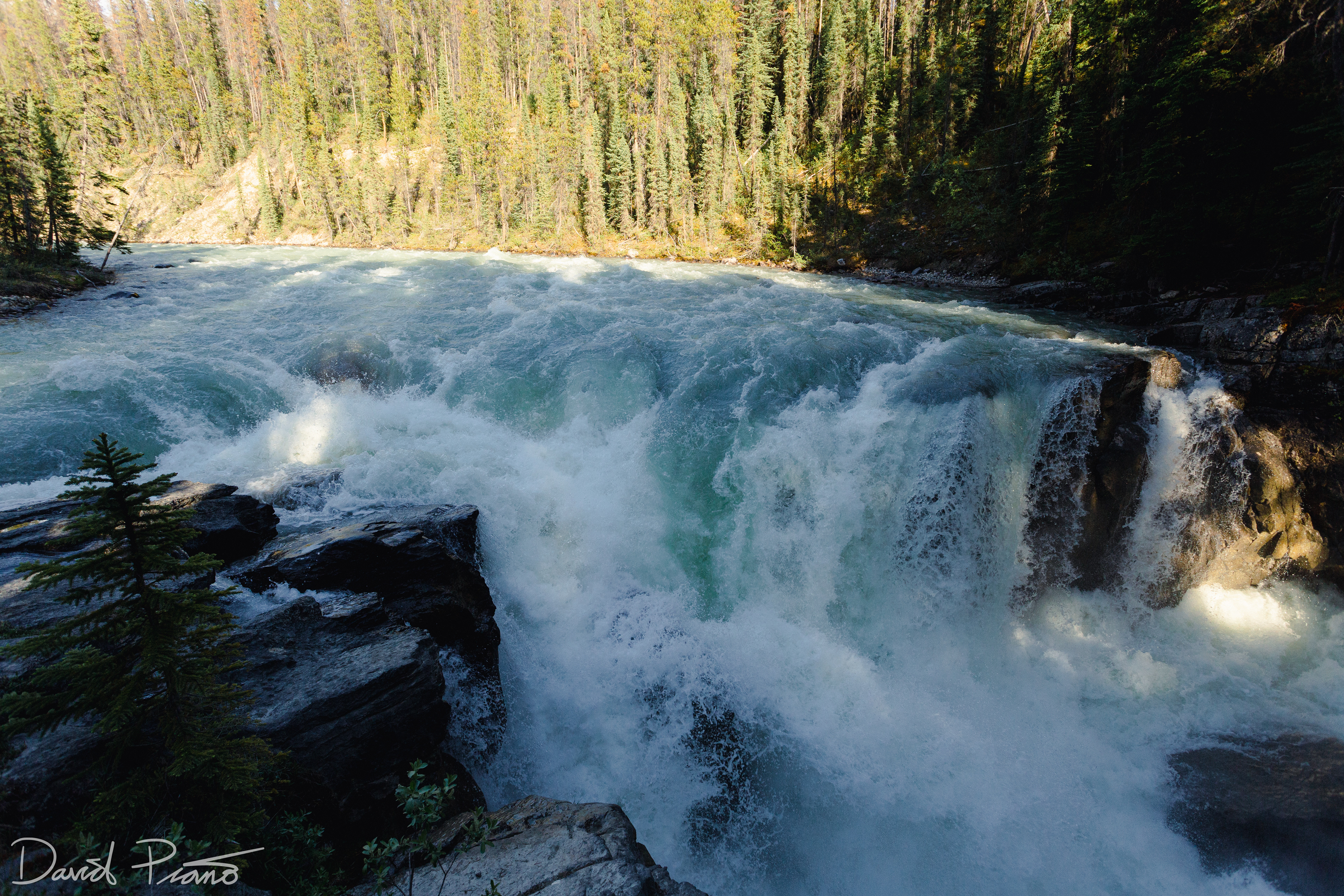 Sunwapta Falls
