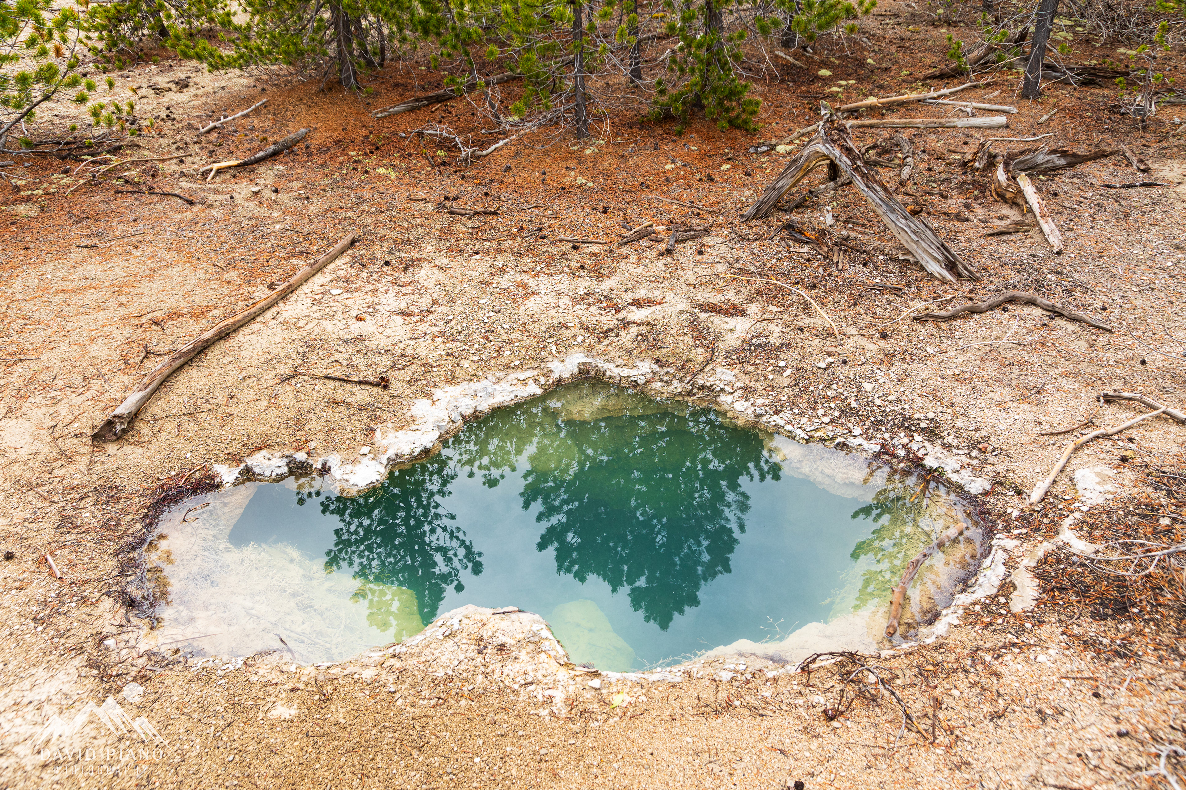 Whale's Mouth Spring
