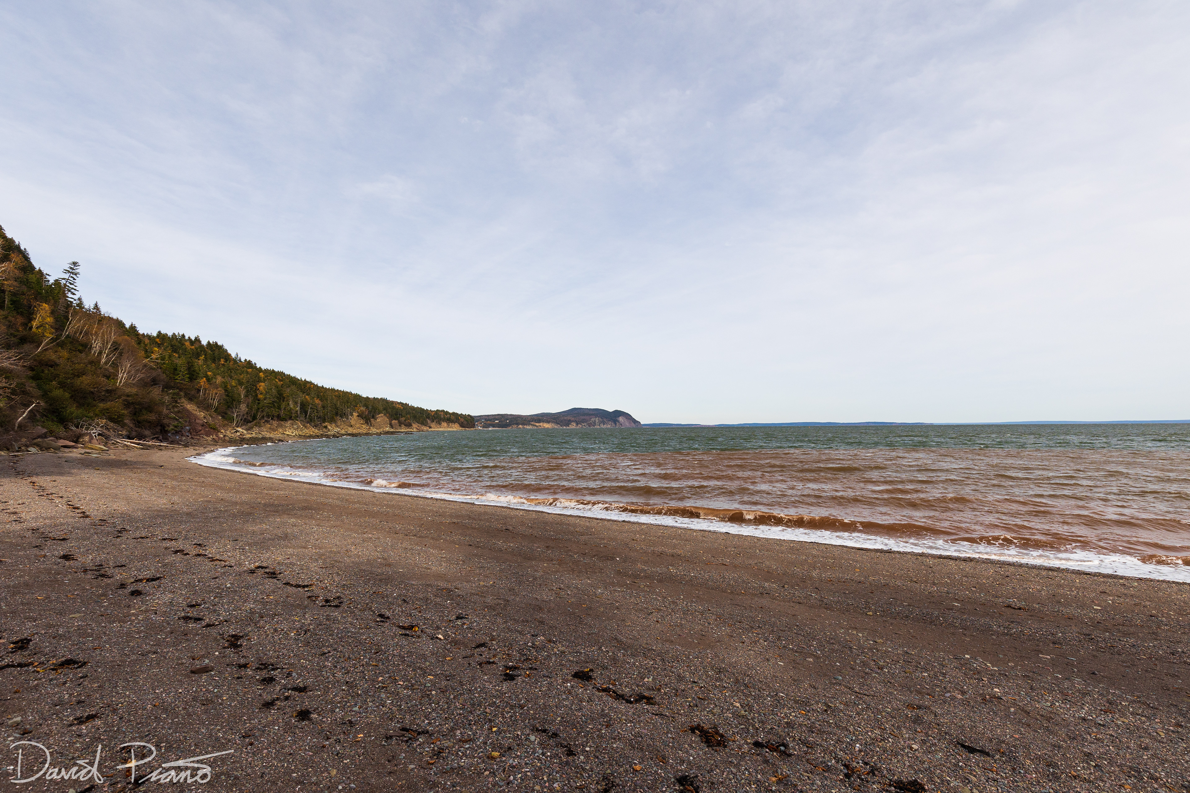 Herring Cove