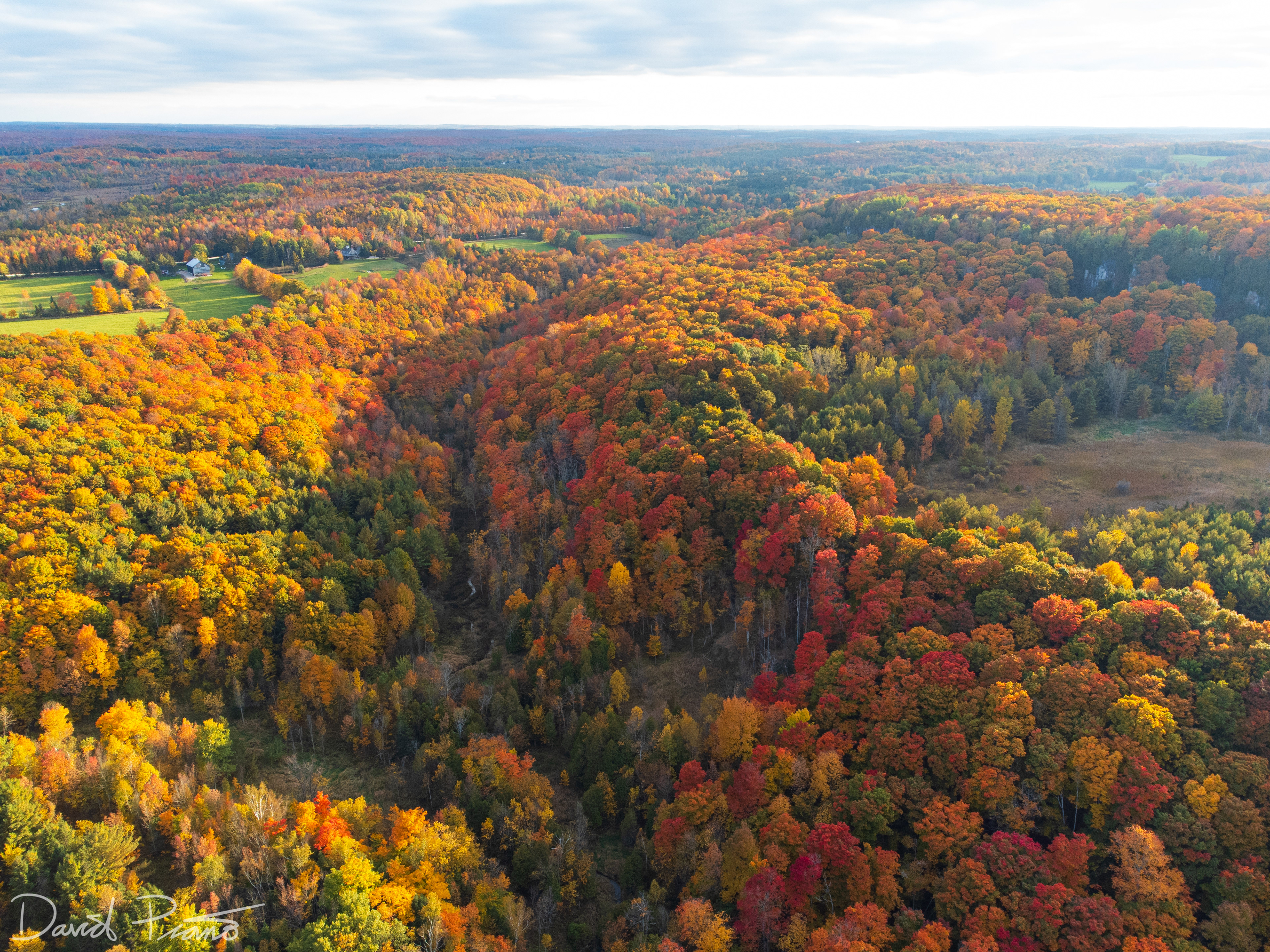 Fall colours in the Kolapore Uplands - October 2021