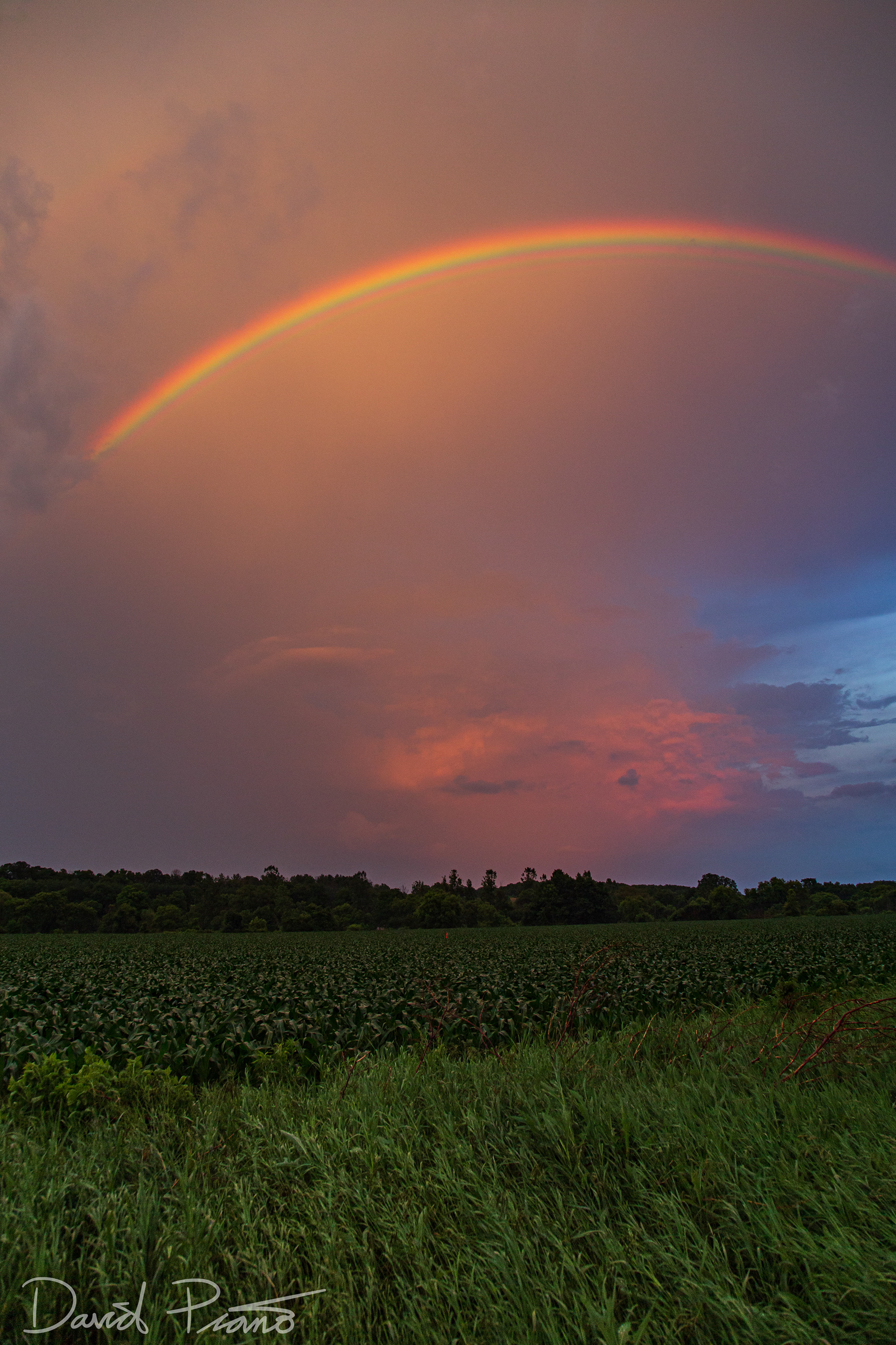 Spectacular Sunset Rainbow - Drumbo, ON - 07/05/2019