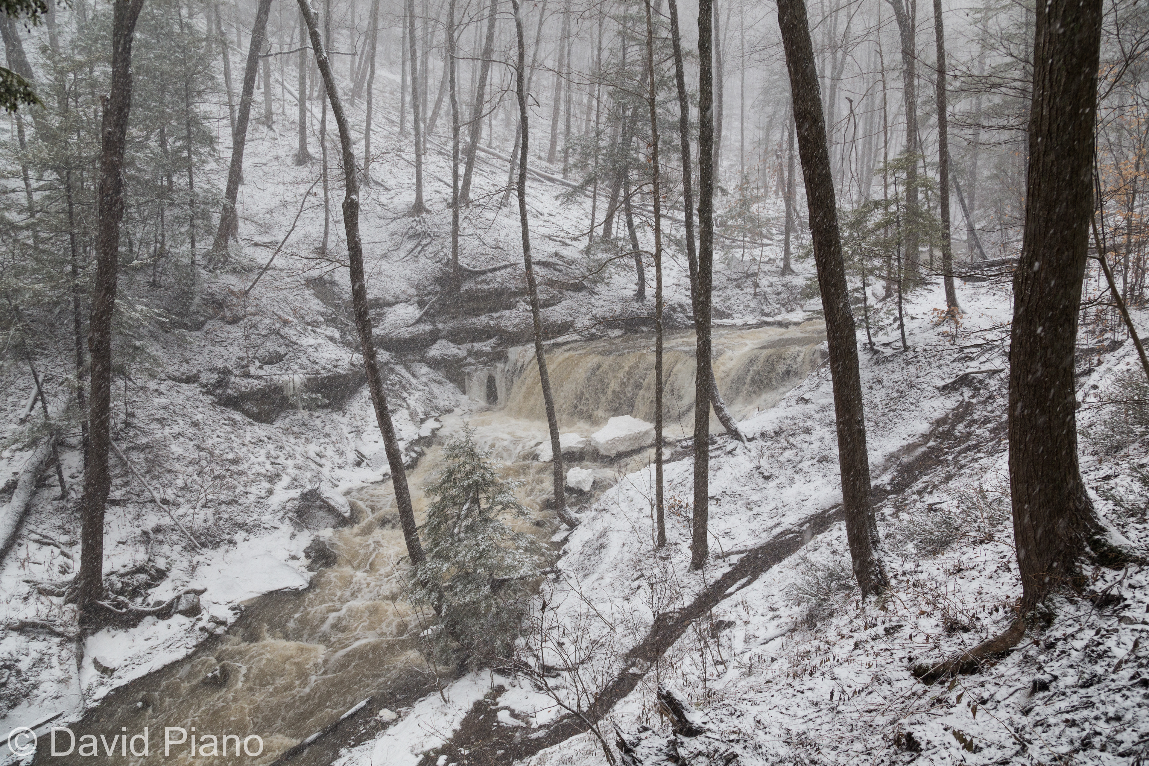 Lower Tew's Falls - Dundas, ON - January 2018