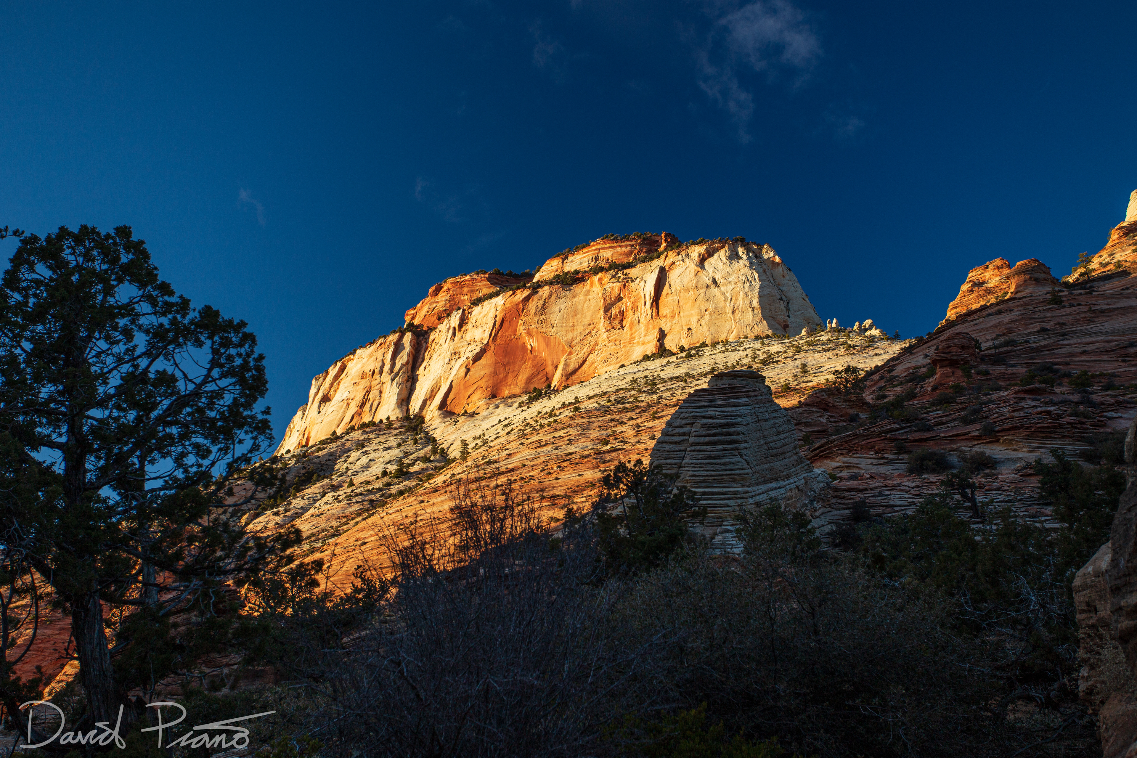 Zion National Park - Feb. 2020