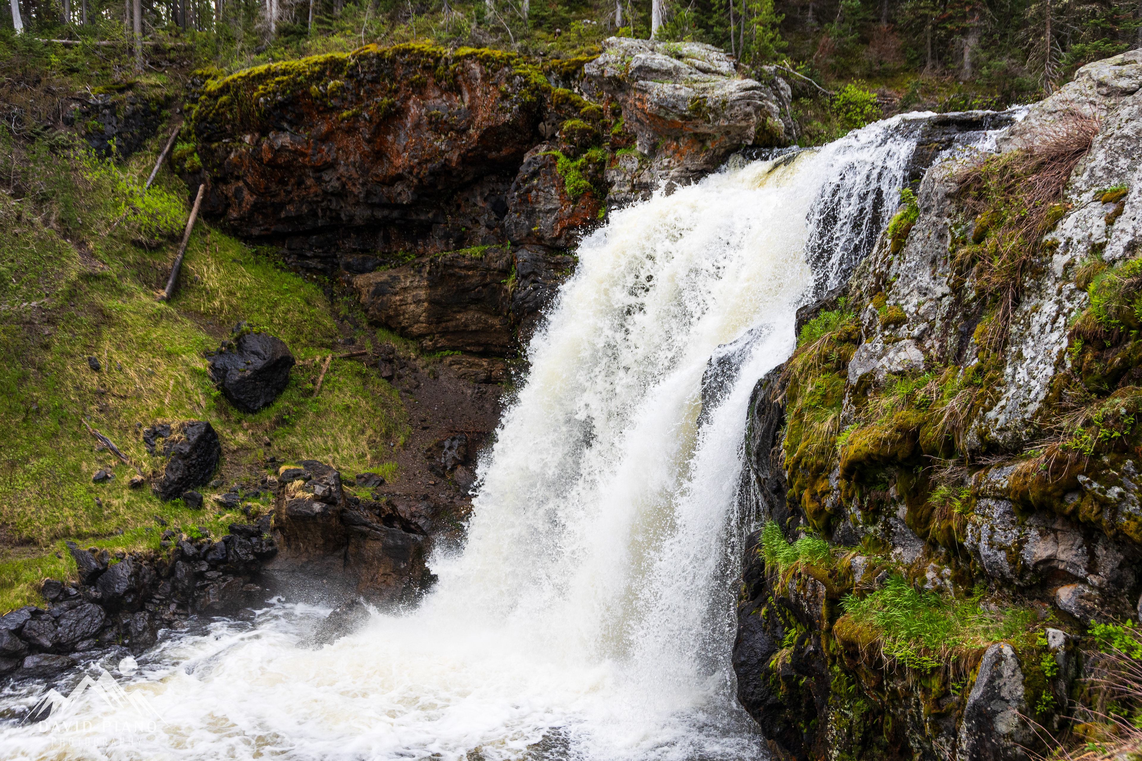 Moose Falls