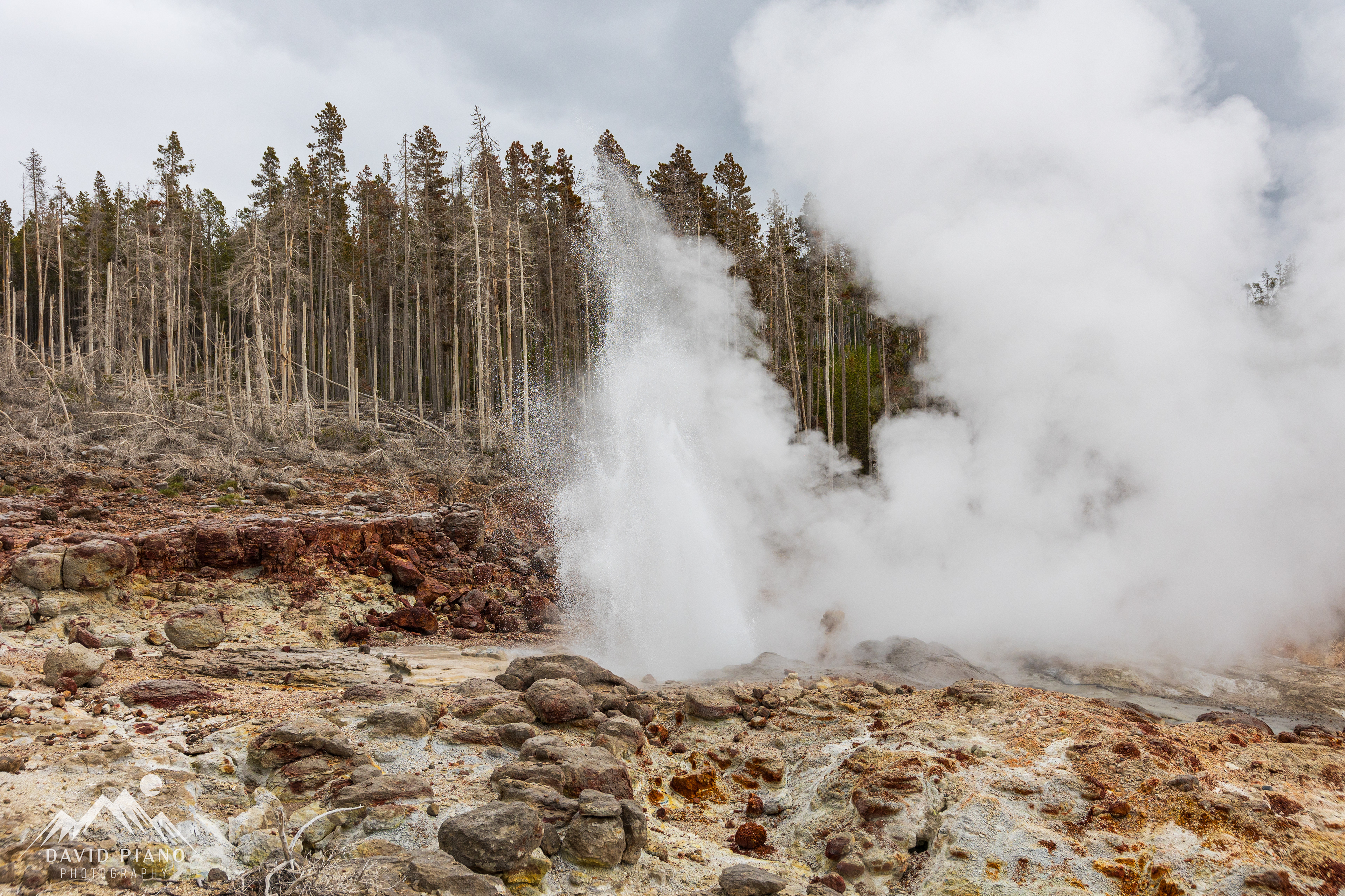 Steamboat Geyser