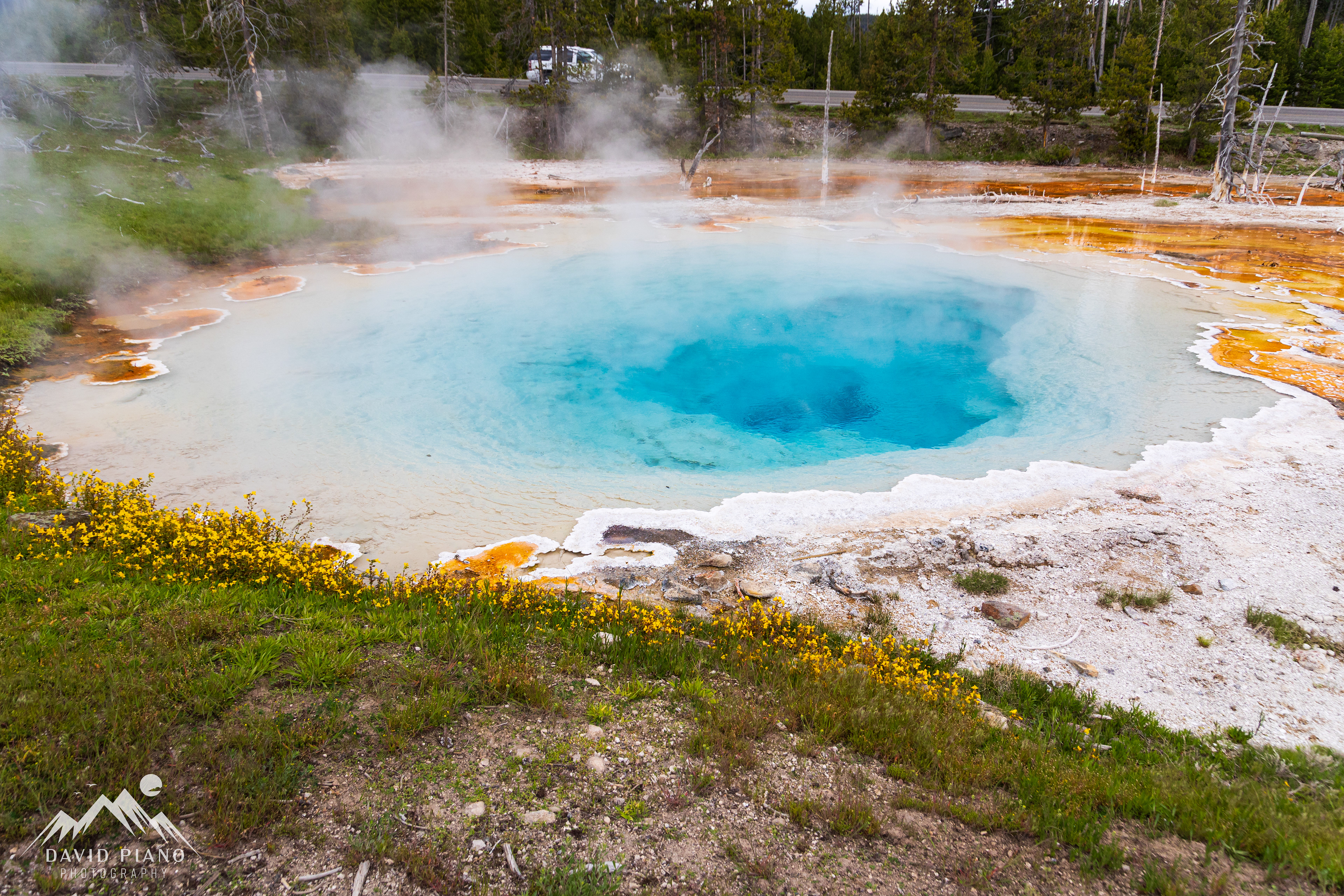 Silex Spring