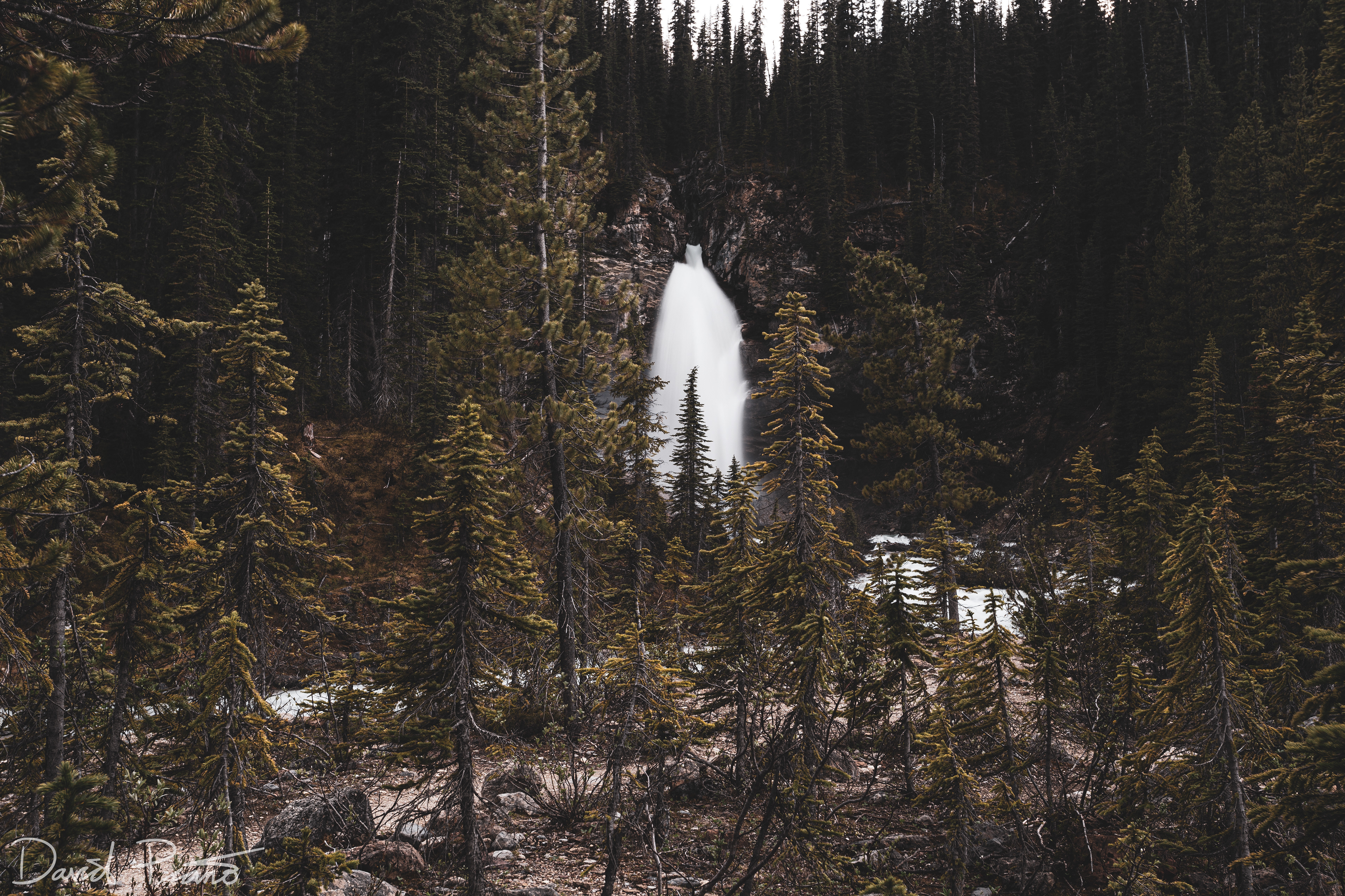 Laughing Falls - Yoho National Park