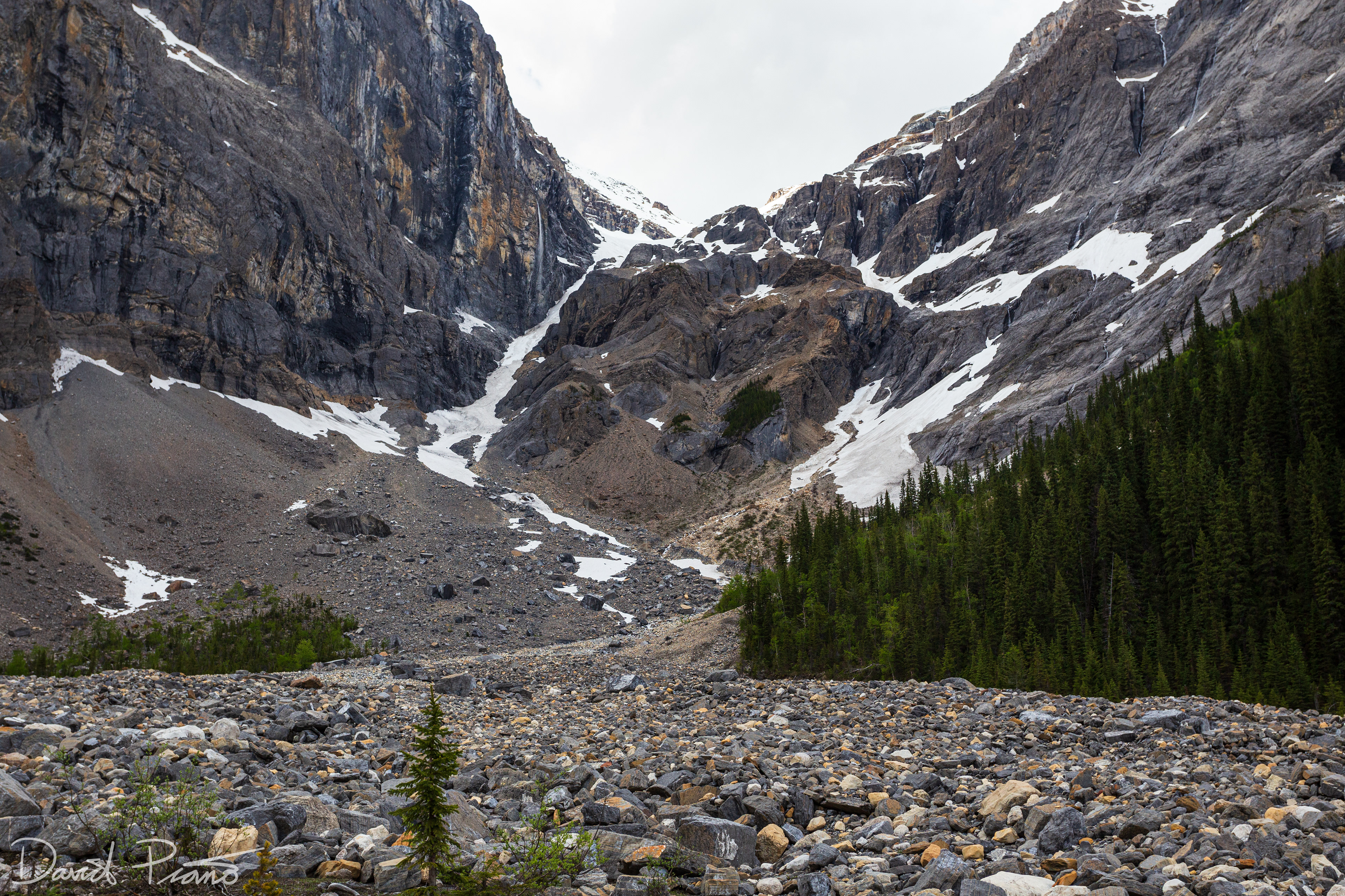 Emerald Basin, Yoho National Park - June 2021