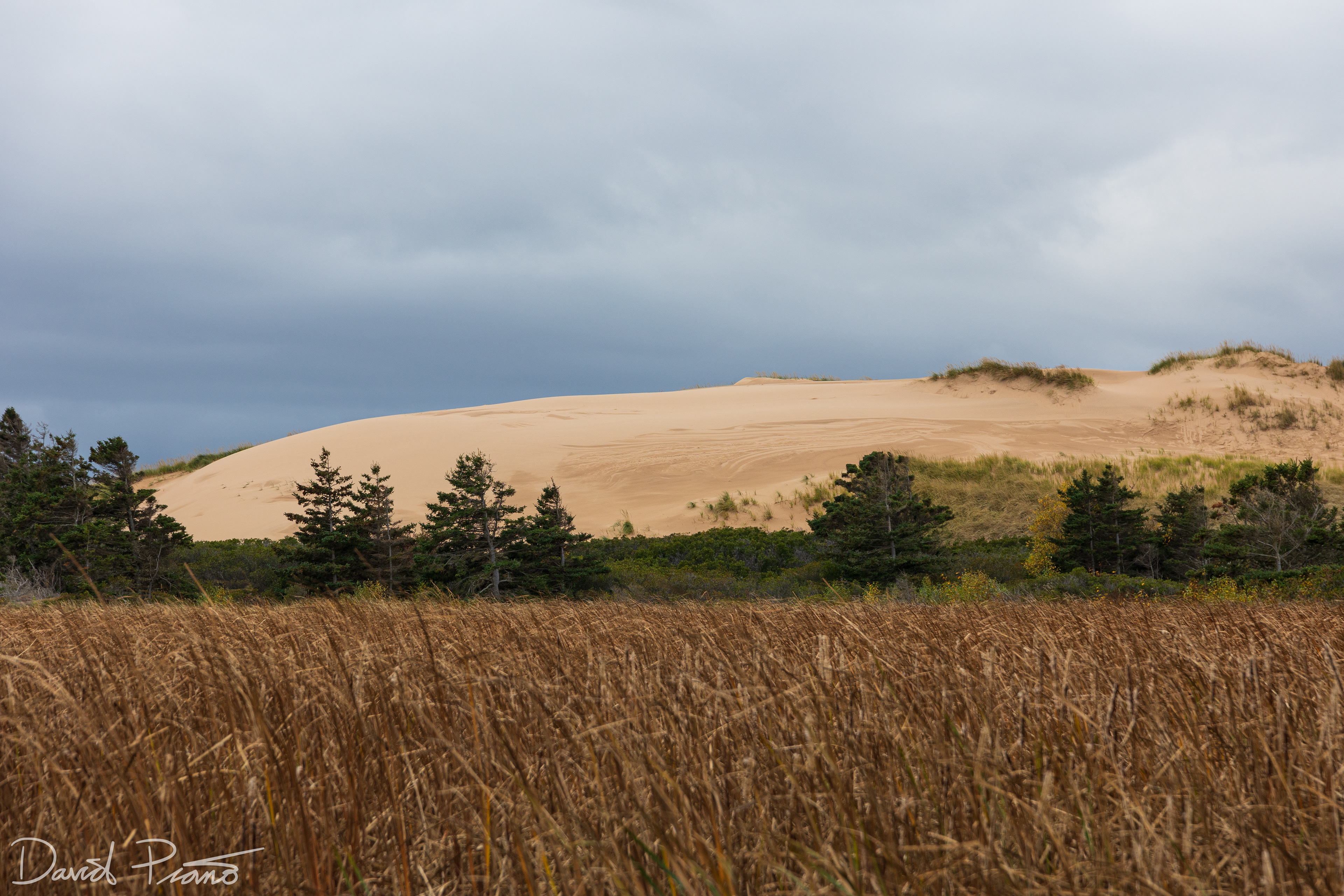 Greenwich Sand Dunes