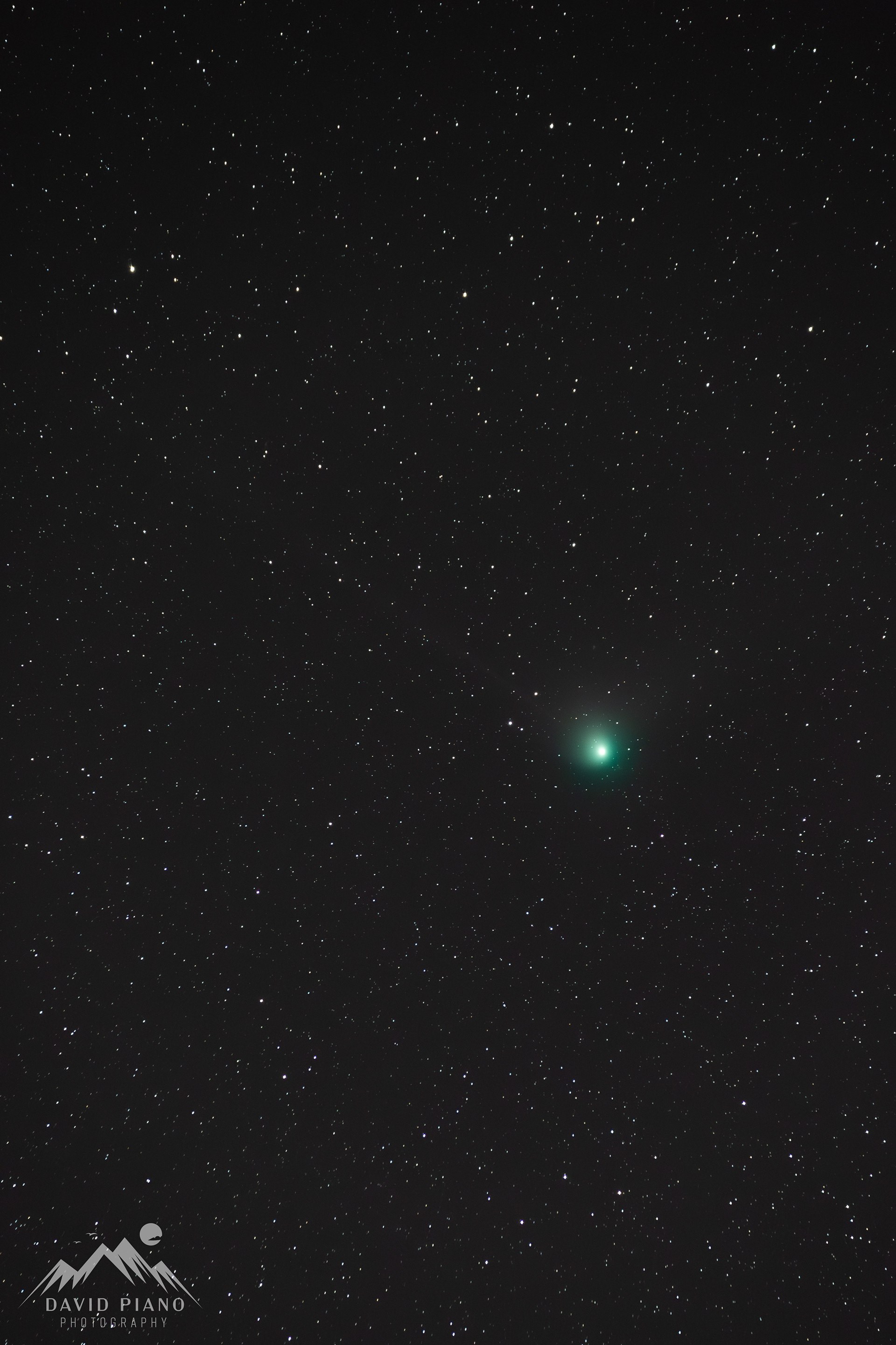 Comet E3 (ZTF) on January 31, 2023 - Imaged from Long Point, ON