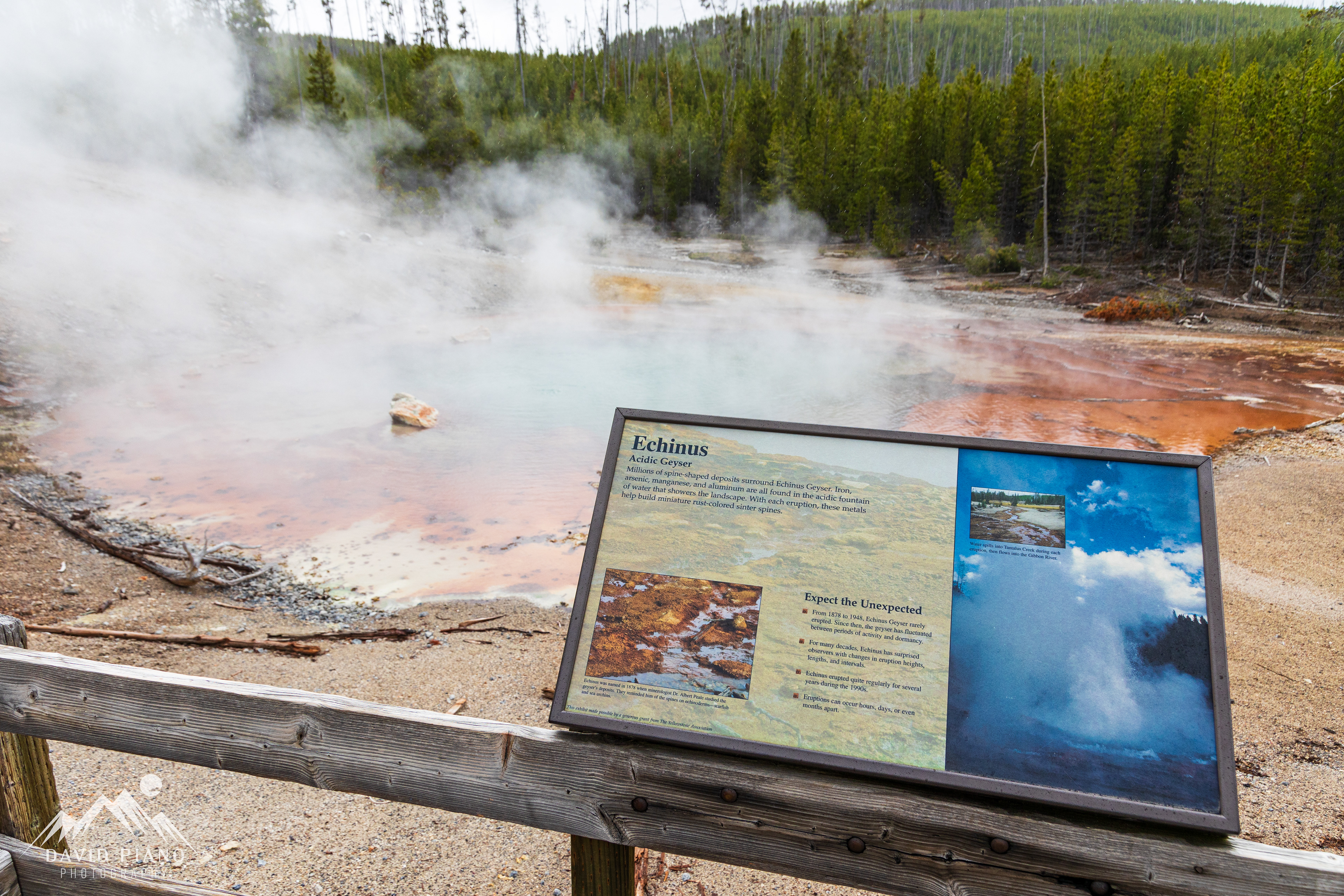 Echinus Geyser