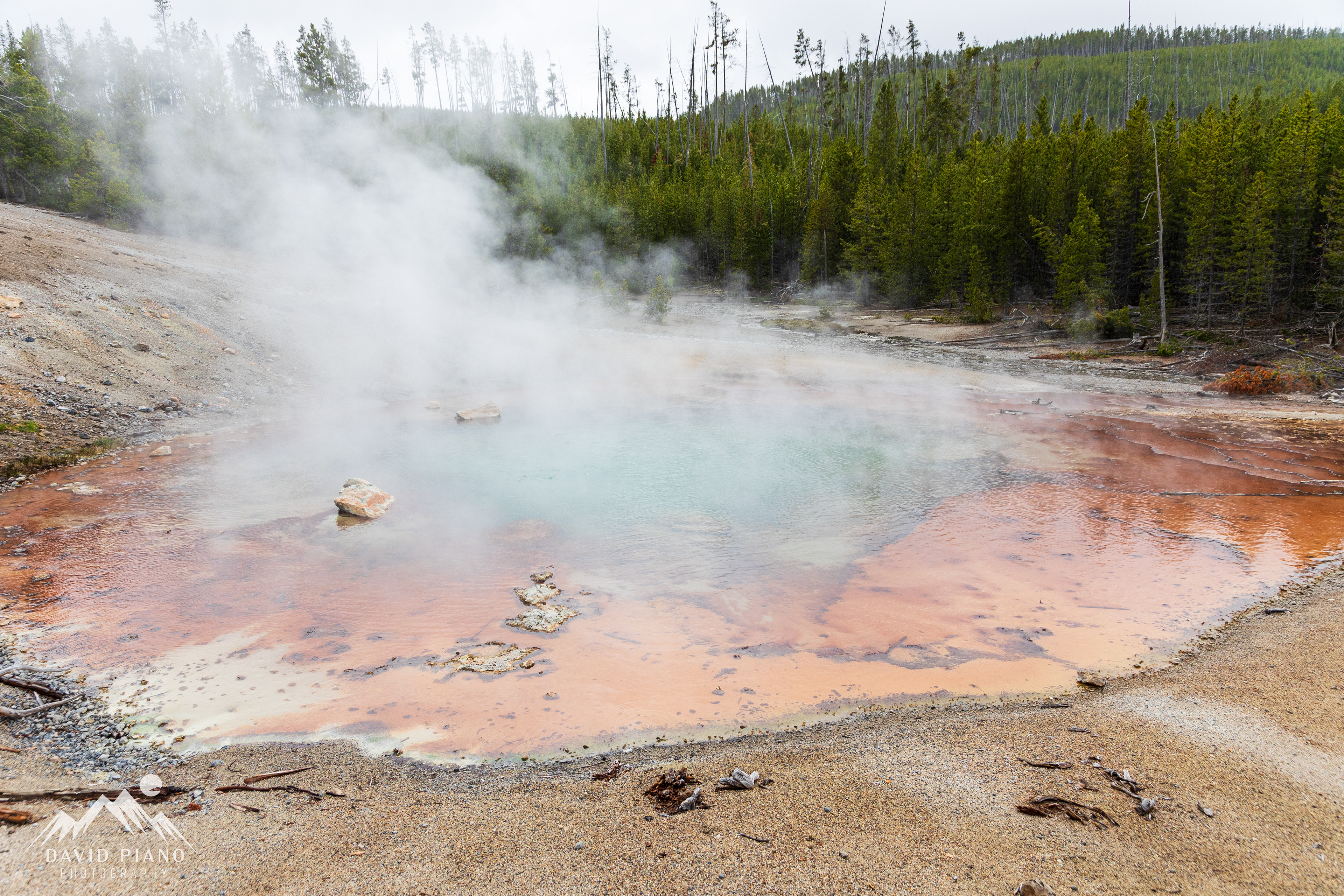 Echinus Geyser