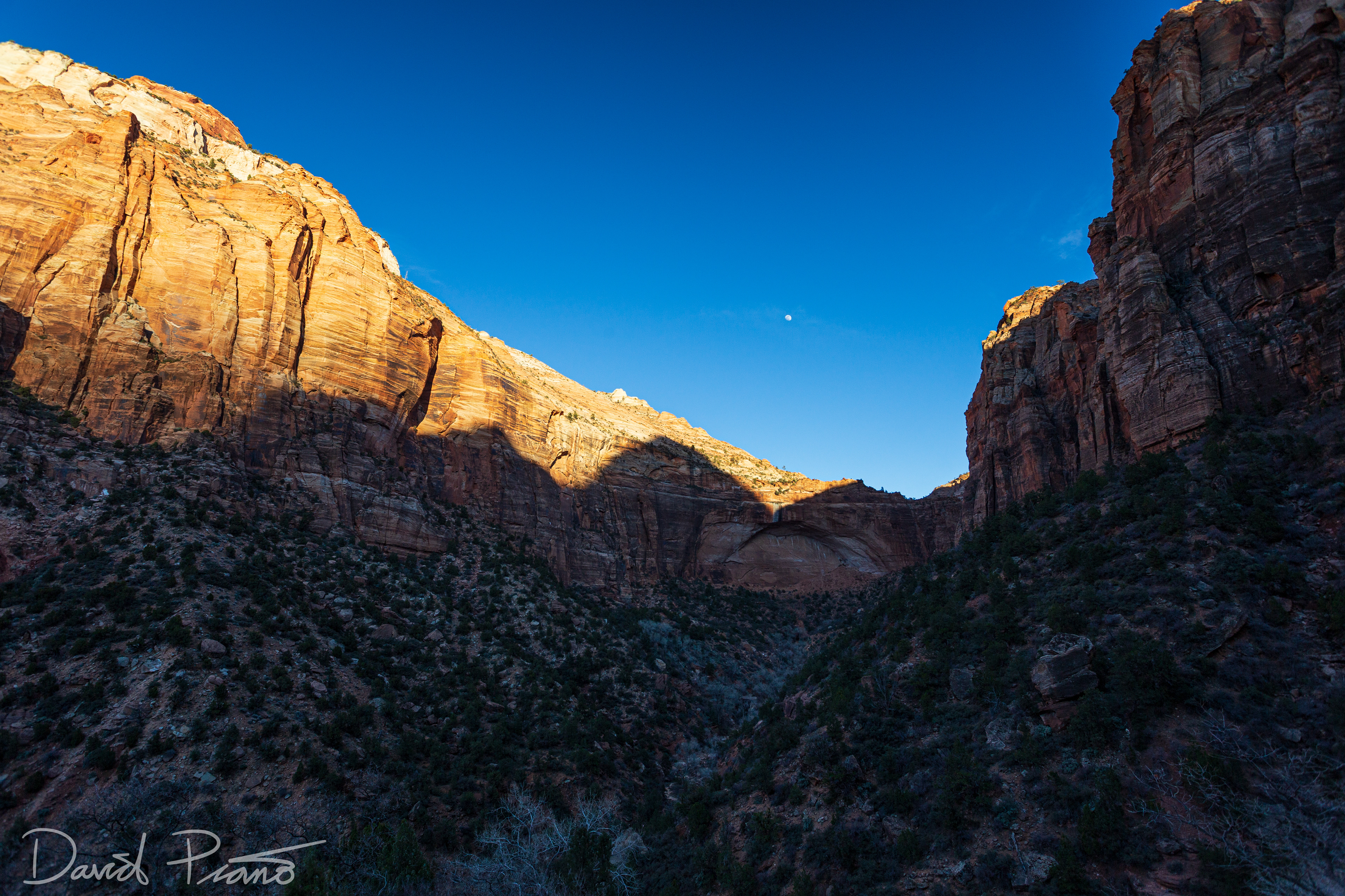 Zion National Park - Feb. 2020