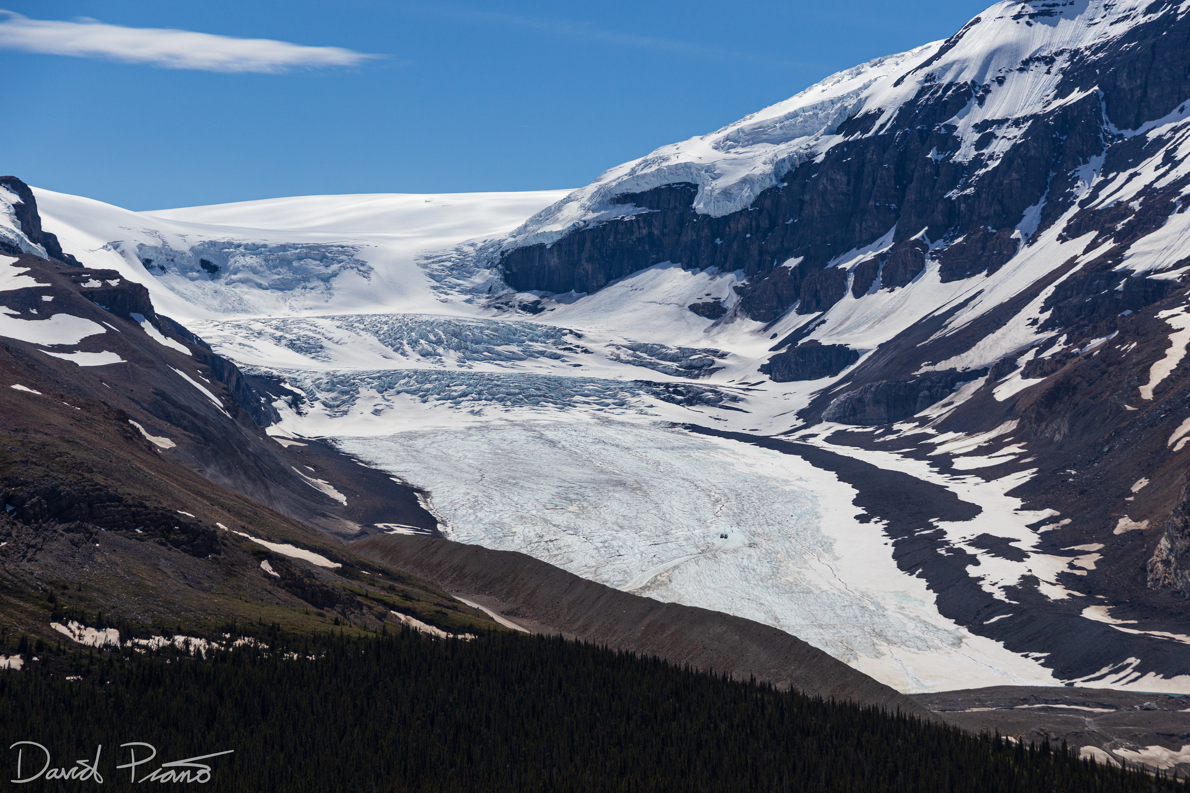 Columbia Icefields