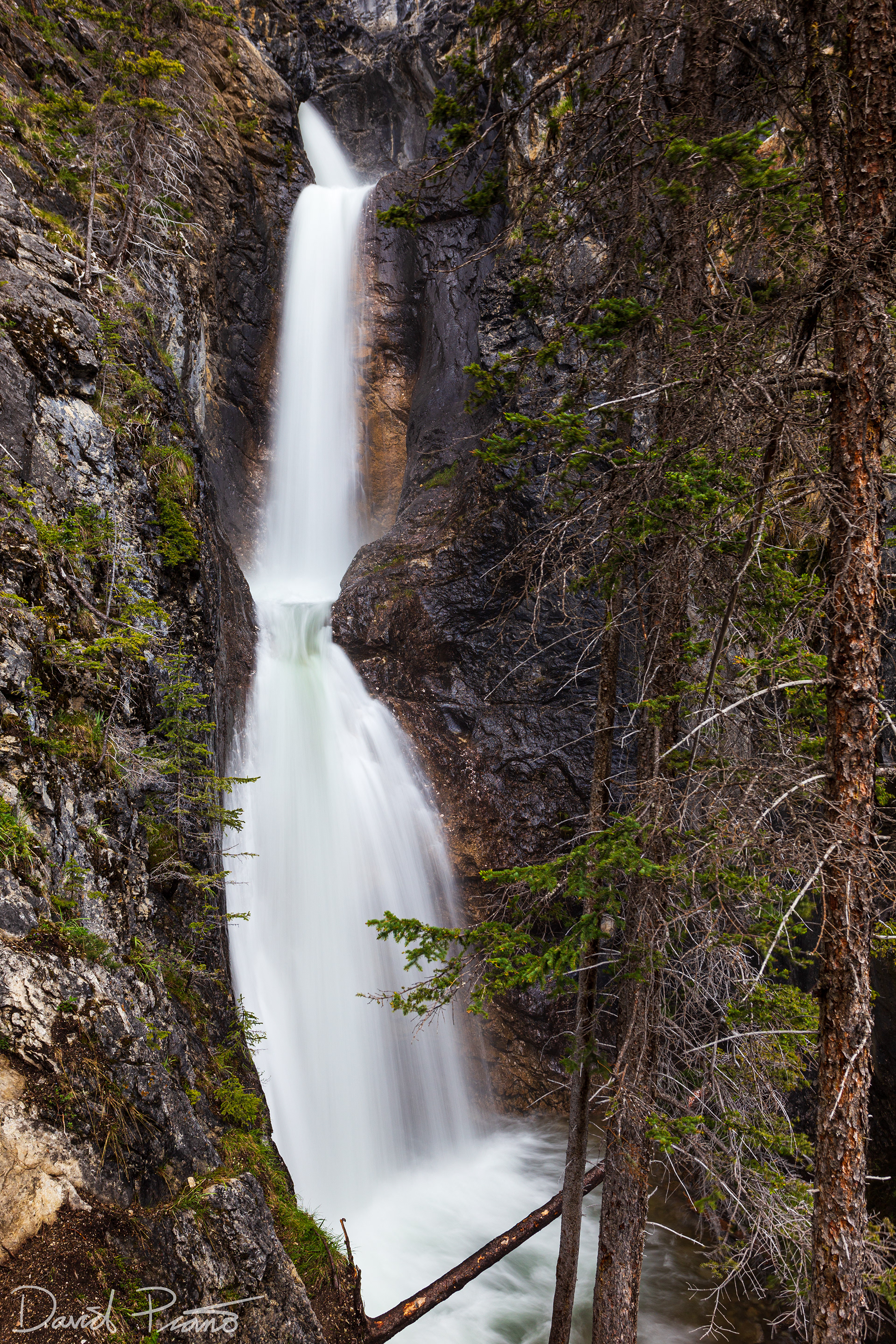 Silverton Falls, Banff National Park - June 2021