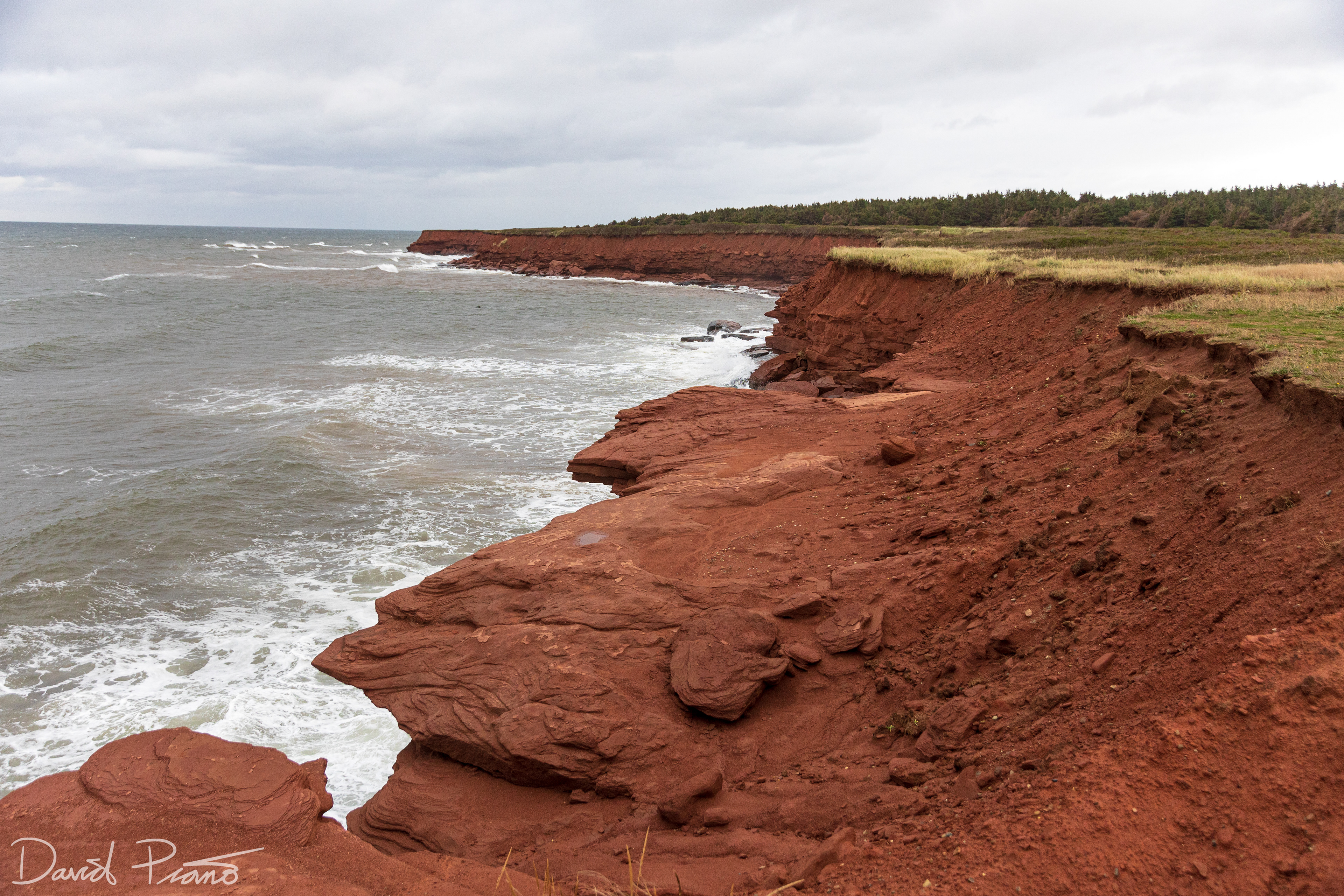 Coastline at Cavendish