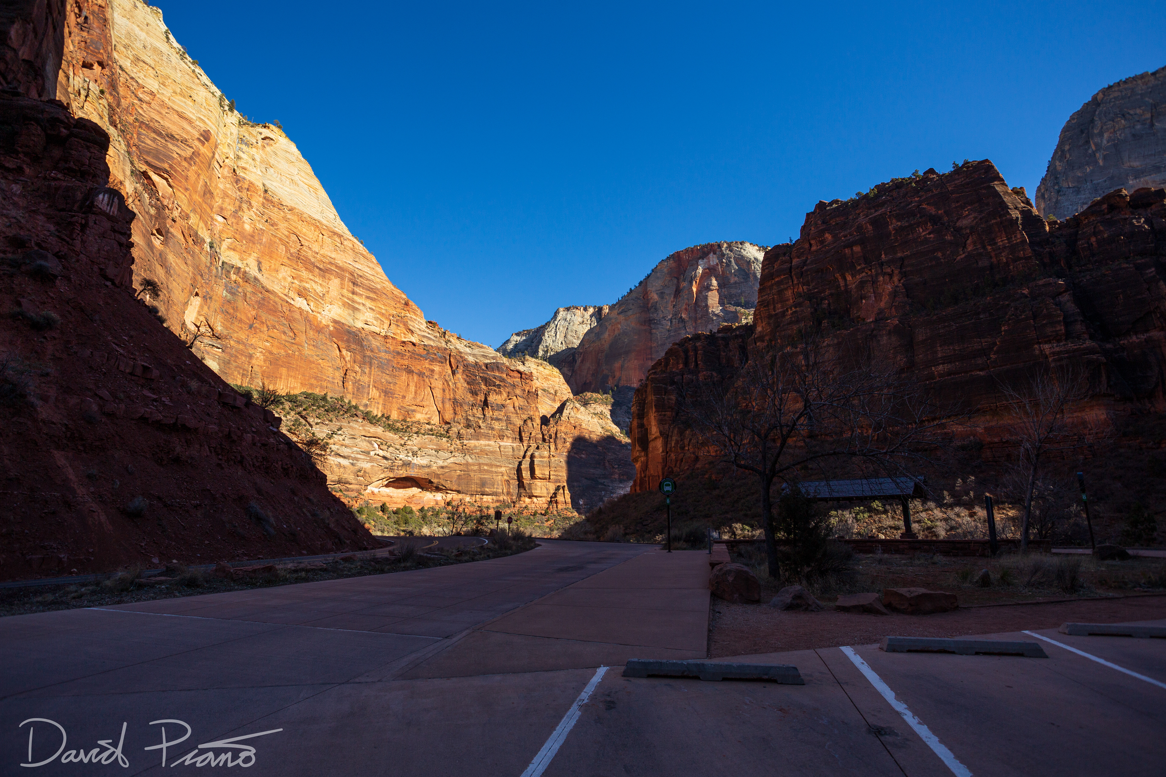 Zion Canyon Scenic Drive - Feb. 2020