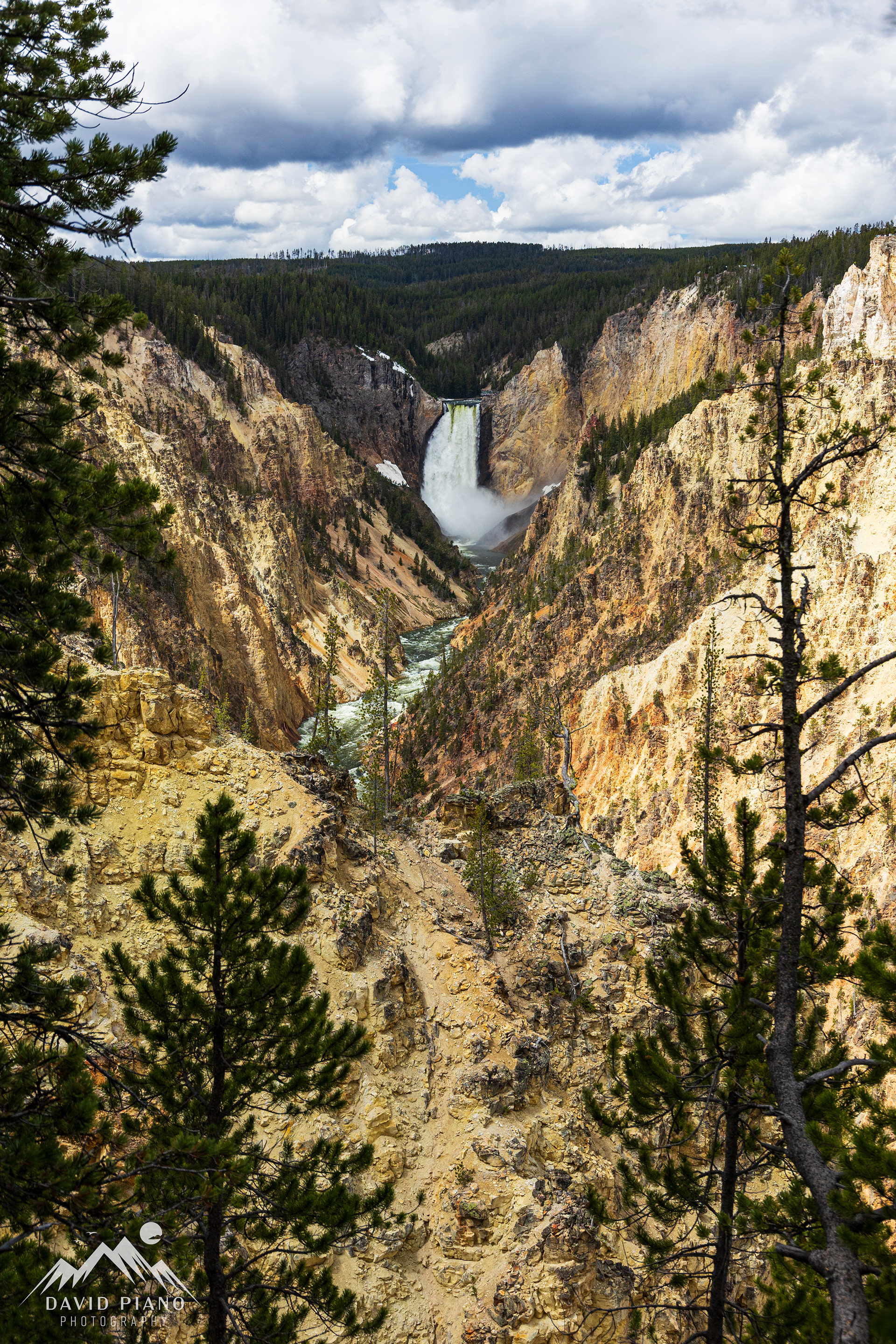 Lower Falls of the Yellowstone River