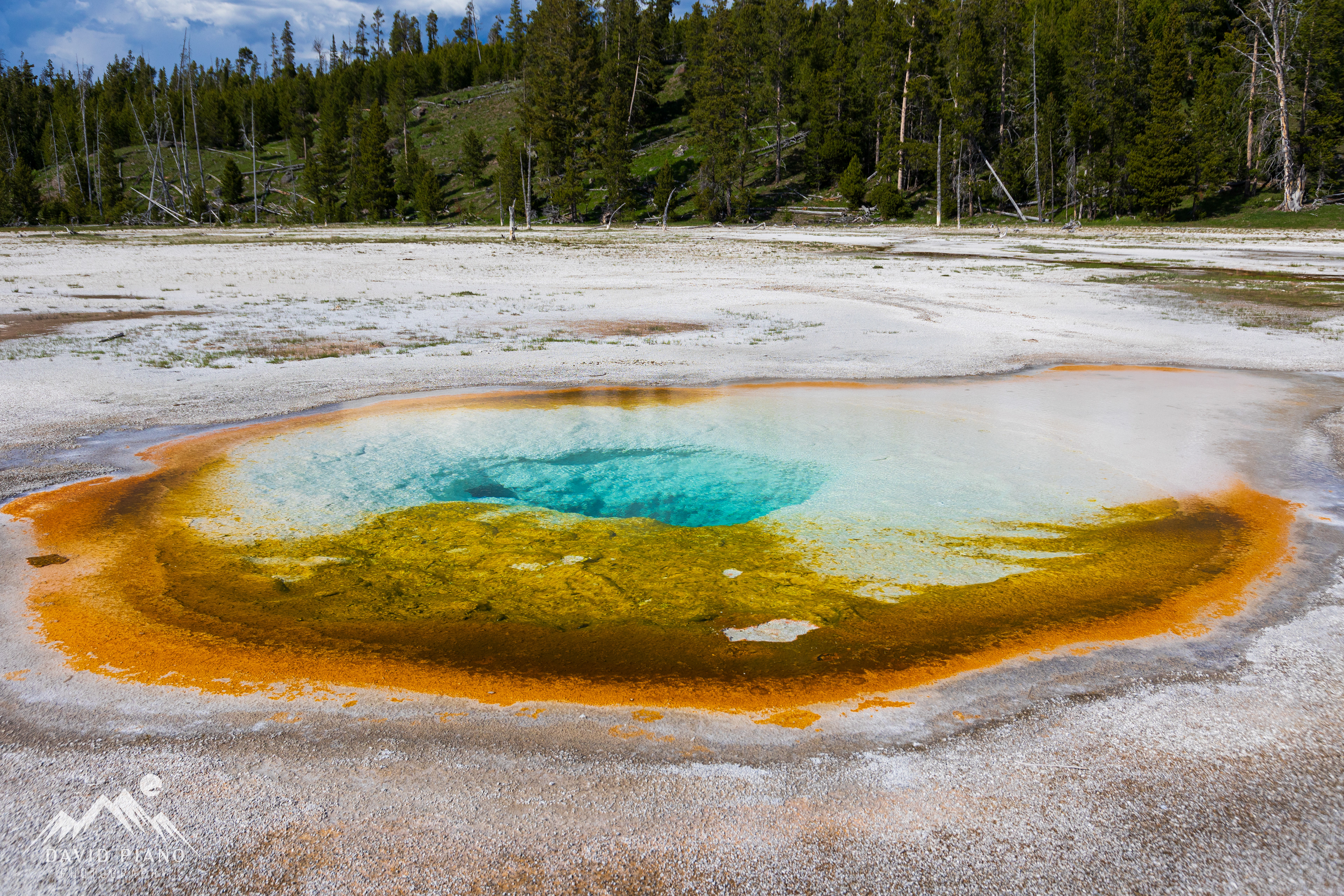 Chromatic Pool