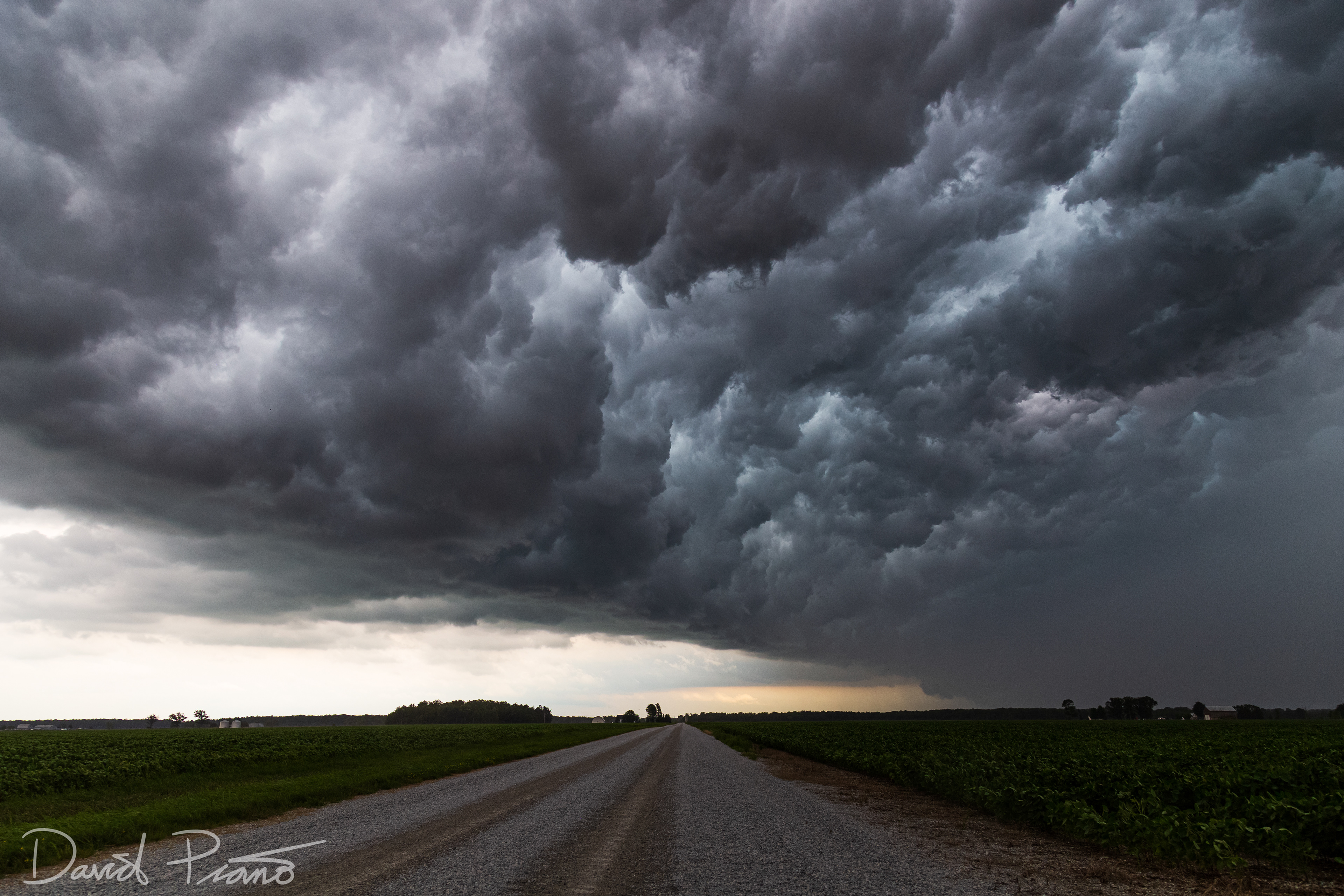 Whale's mouth passes overhead - Oil Springs, ON - 08/18/2019